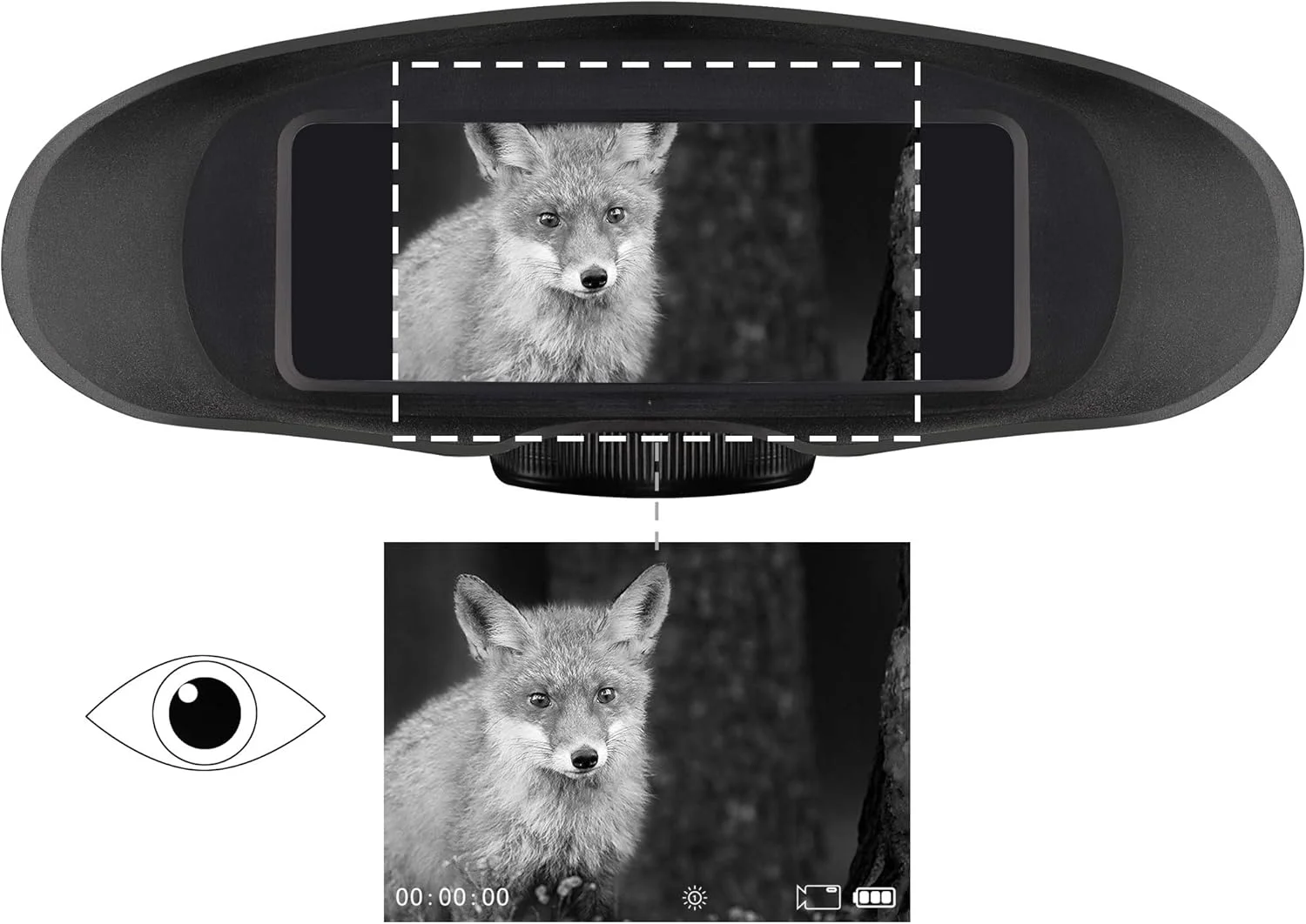 دوربین دوچشمی دید در شب دیجیتال Bresser 1877491، بزرگنمایی 3 برابر، برد 130 متر، نورپردازی مادون قرمز یکپارچه و عملکرد ضبط