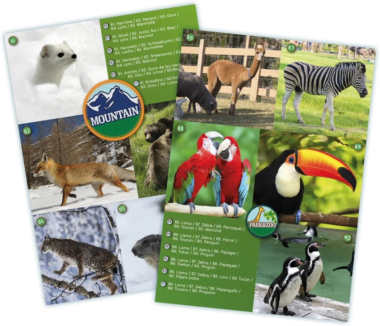 دوربین شکاری ماکسی