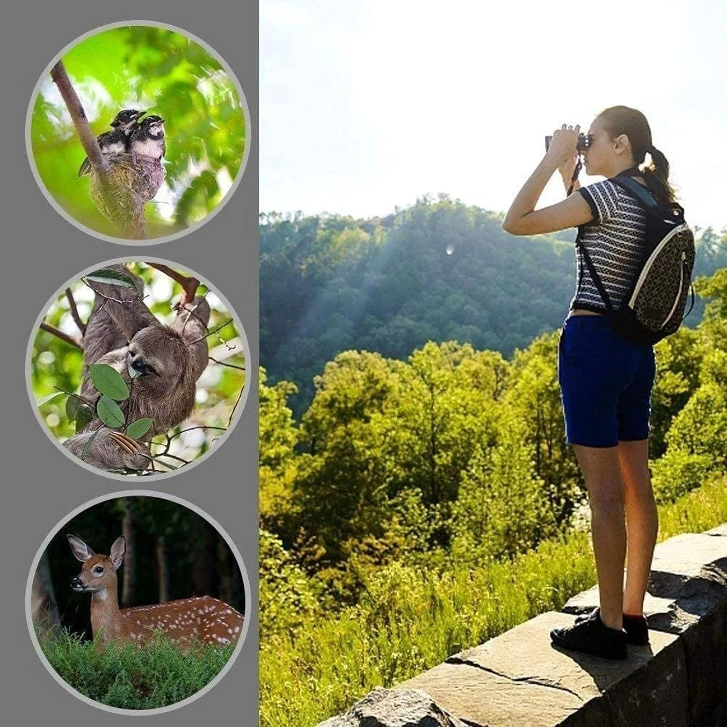 دوربین شکاری جمع و جور ضد آب و ضد مه برای تماشای پرندگان، گشت و گذار در فضای باز، مسافرت، تماشای بازی
