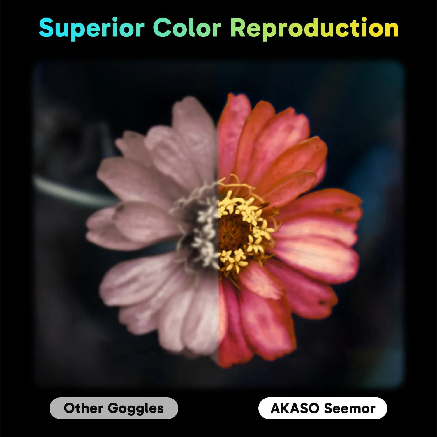 دوربین دید در شب آکاسو Seemor-200 - دوربین دوچشمی دید در شب 4K تمام رنگی برای بزرگسالان، قابلیت ذخیره عکس و فیلم با برنامه، برد دید 3280FT با AI-ISP، زوم دیجیتال 16 برابر برای کمپینگ، شکار و امنیت