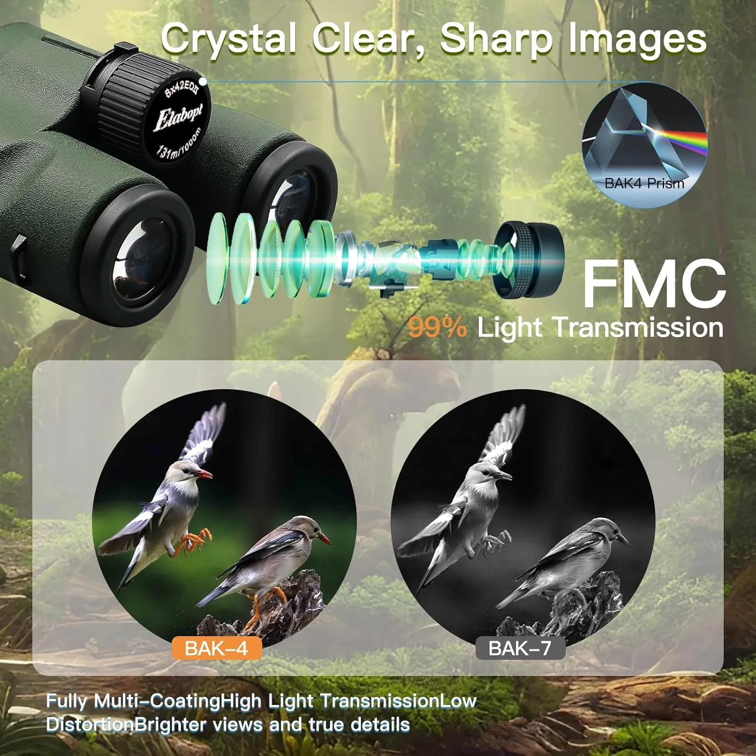 دوربین شکاری 8x42EDII جمع و جور برای بزرگسالان – منشورهای BAK4 با قدرت بالا، پوشش الماس سفید، ضد آب و ضد مه، روکش لاستیکی – ایده آل برای تماشای پرندگان، مسافرت، ورزش های فضای باز