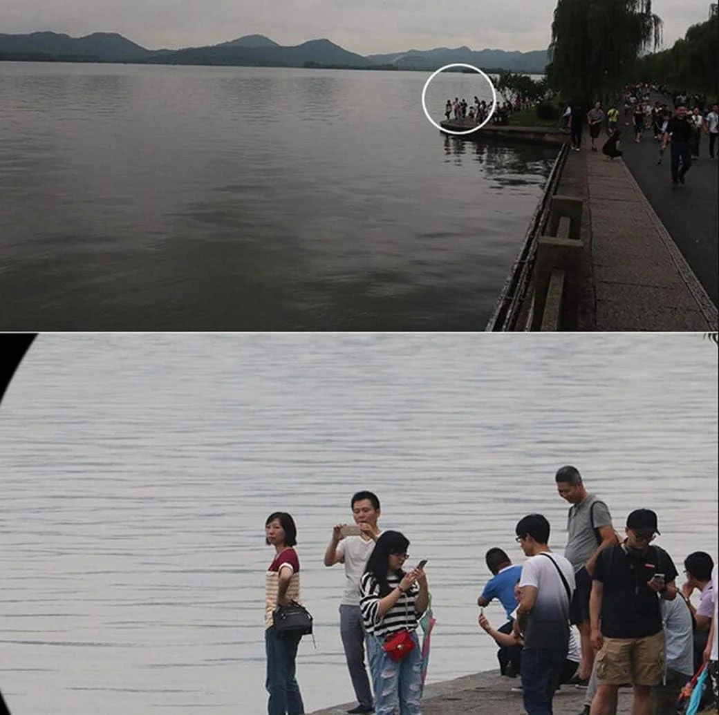 دوربین دوچشمی 8X42|10×42 میدان دید وسیع - سبک وزن برای تماشای پرندگان، شکار، ورزش، نیتروژن شناور، ضد آب، دید دور دوربین دوچشمی 8X42|10×42 میدان دید وسیع - سبک وزن برای تماشای پرندگان، شکار، ورزش، نیتروژن شناور، ضد آب، دید دور