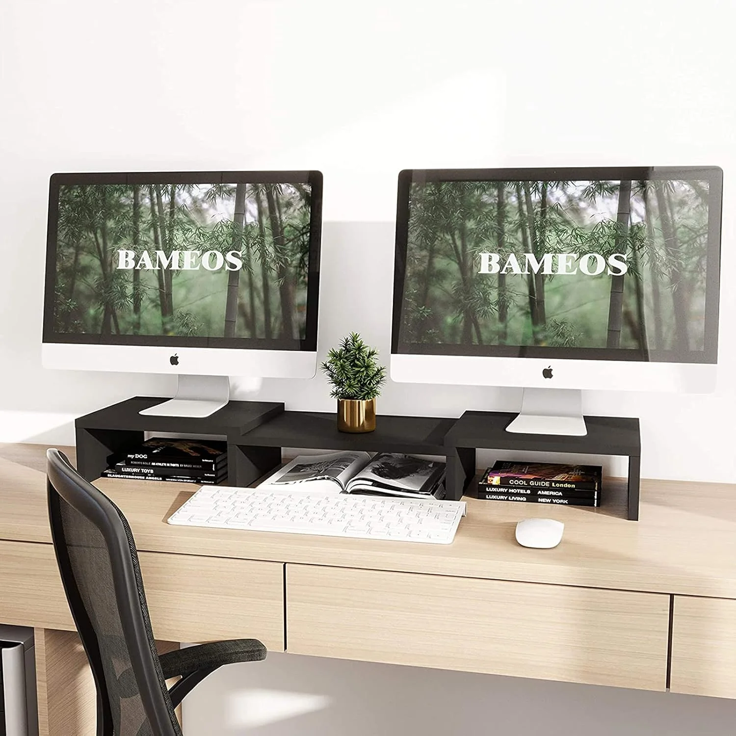 پایه نگهدارنده دو مانیتوره با طول و زاویه قابل تنظیم، مناسب برای 2 مانیتور، استند سازمان دهنده رومیزی اداری مناسب برای کامپیوتر، لپ تاپ، PC، تلویزیون (مشکی) پایه نگهدارنده دو مانیتوره با طول و زاویه قابل تنظیم، مناسب برای 2 مانیتور، استند سازمان دهنده رومیزی اداری مناسب برای کامپیوتر، لپ تاپ، PC، تلویزیون (مشکی)