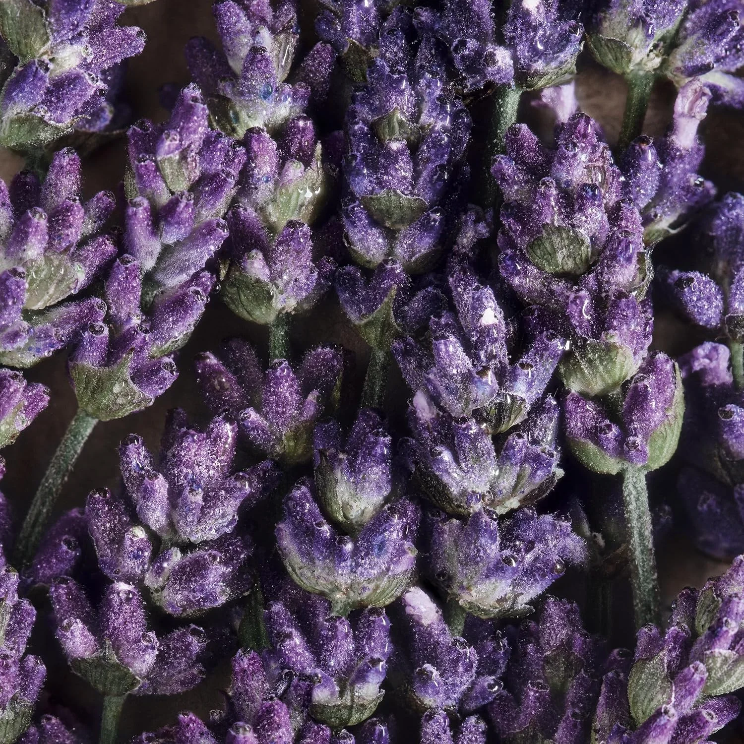 ست هدیه ادو تویلت مردانه دیویدوف کول واتر