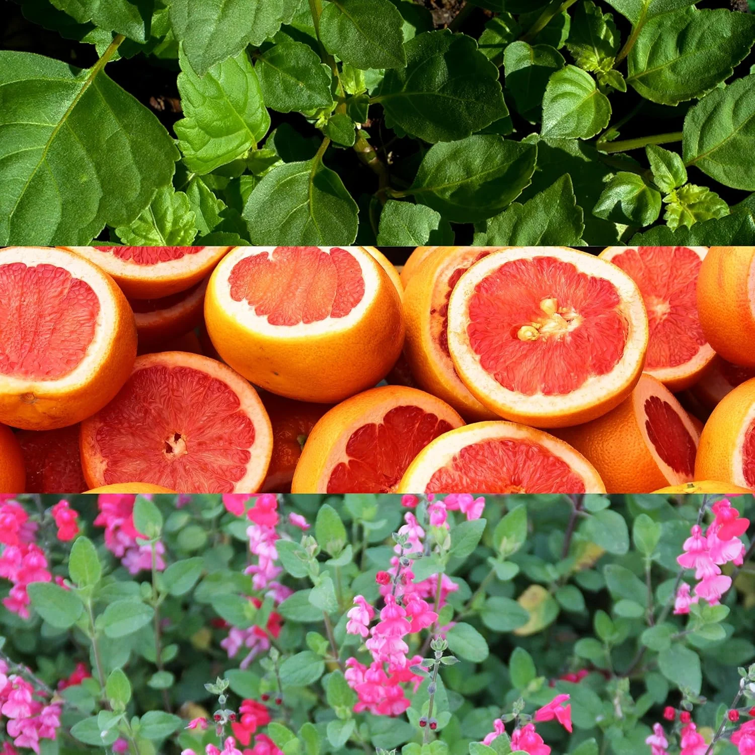 ادکلن مردانه کلوین کلاین Escape ادو تویلت 50 میلی لیتر