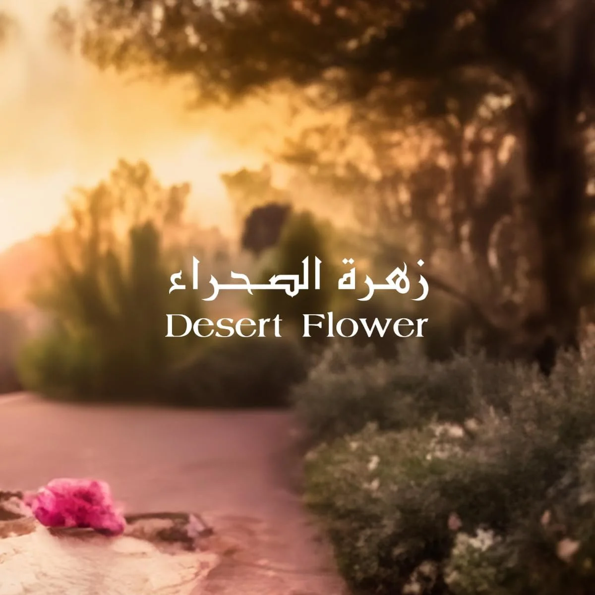 ادکلن آرماف اتر دزرت فلاور رِد ادو پرفیوم، عطر مردانه و زنانه 100 میلی لیتر، رایحه چوبی کهربایی، ماندگاری طولانی، عطر یونیسکس