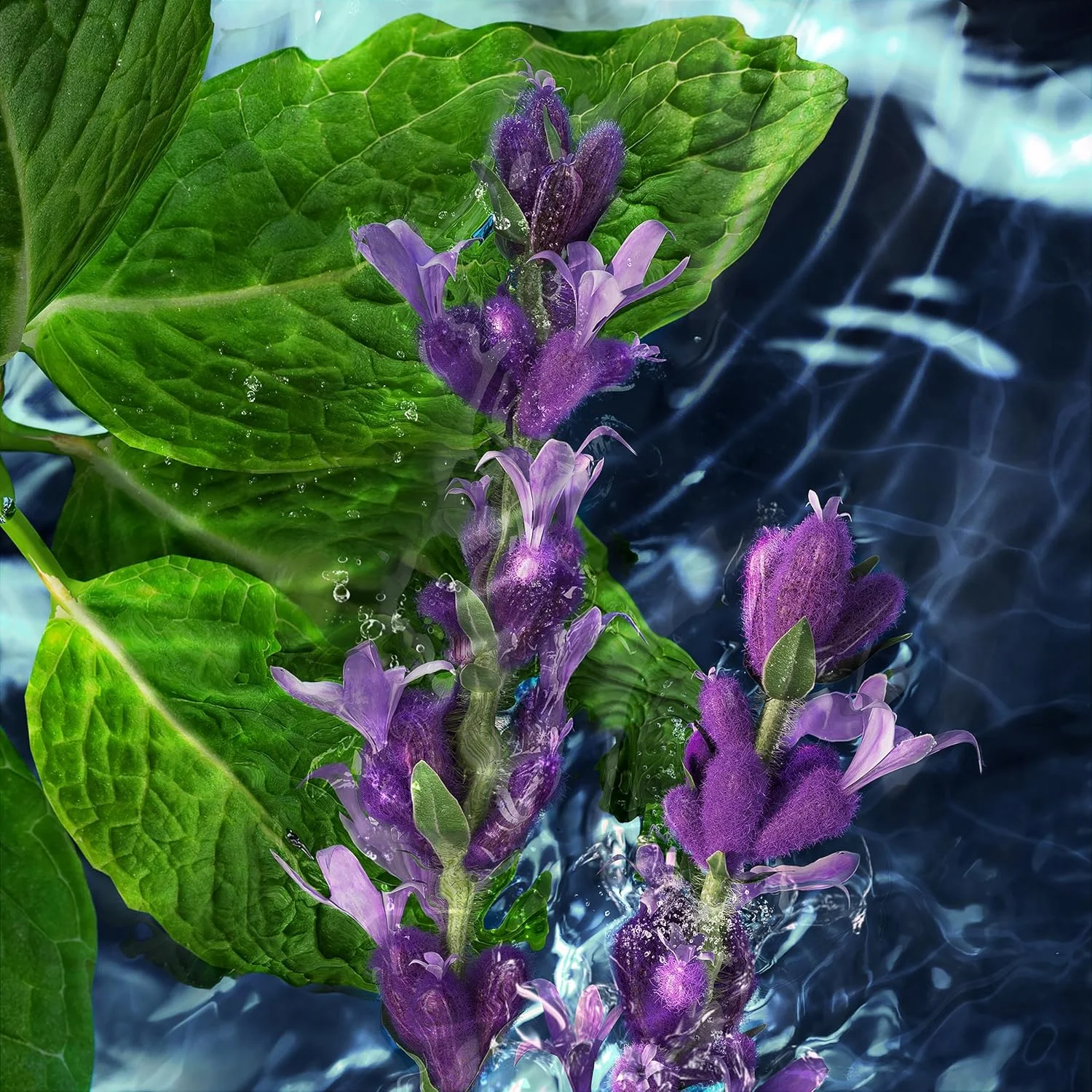 لوسیون پس از اصلاح مردانه دیویدوف کول واتر 125 میلی لیتر