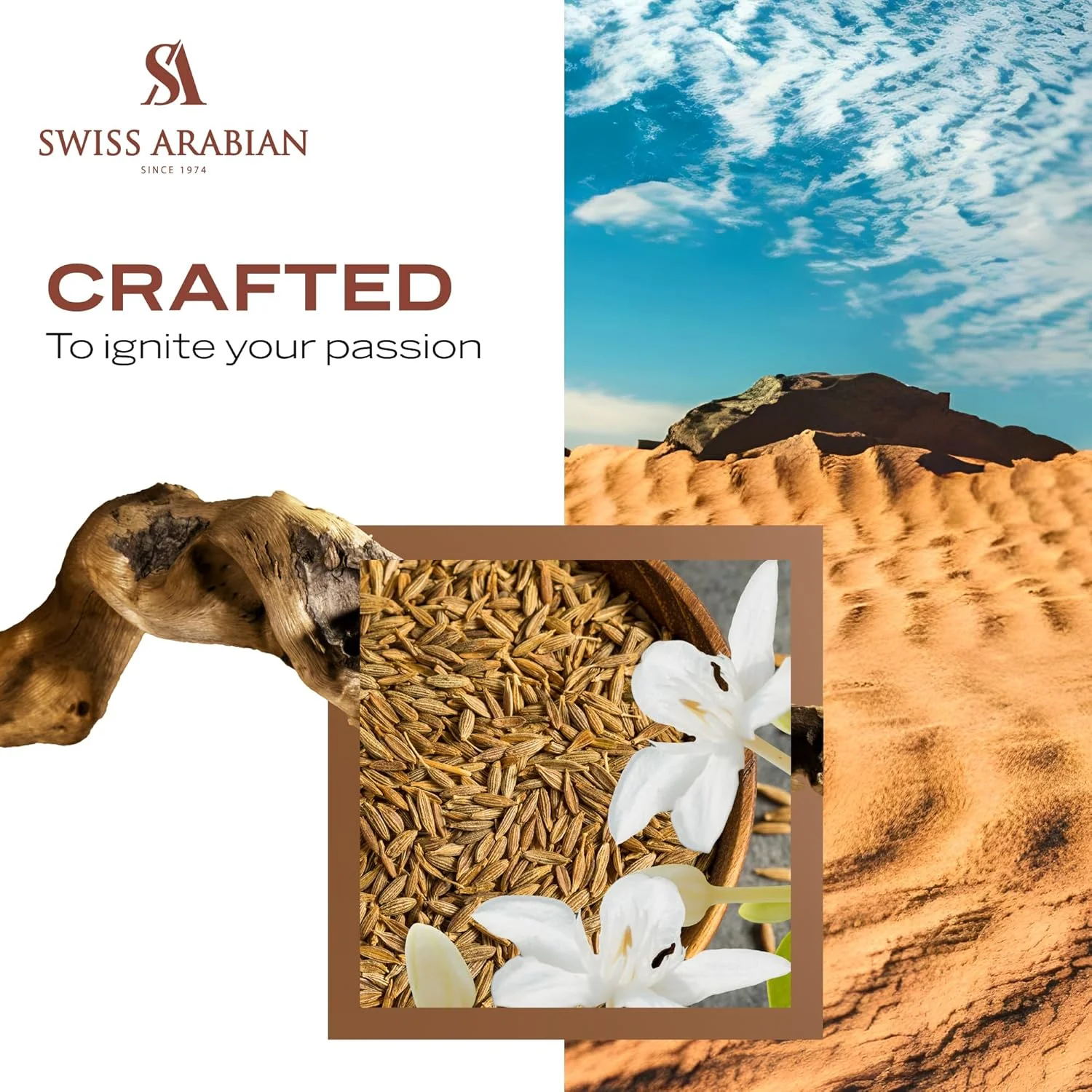 ادو پرفیوم شغف عود اسود سوئیس عربین، ۷۵ میلی لیتر، عطر با کیفیت عالی، رایحه زنانه و مردانه، شرقی، چوبی، ترکیبی لوکس برای مردان و زنان ادو پرفیوم شغف عود اسود سوئیس عربین، ۷۵ میلی لیتر، عطر با کیفیت عالی، رایحه زنانه و مردانه، شرقی، چوبی، ترکیبی لوکس برای مردان و زنان