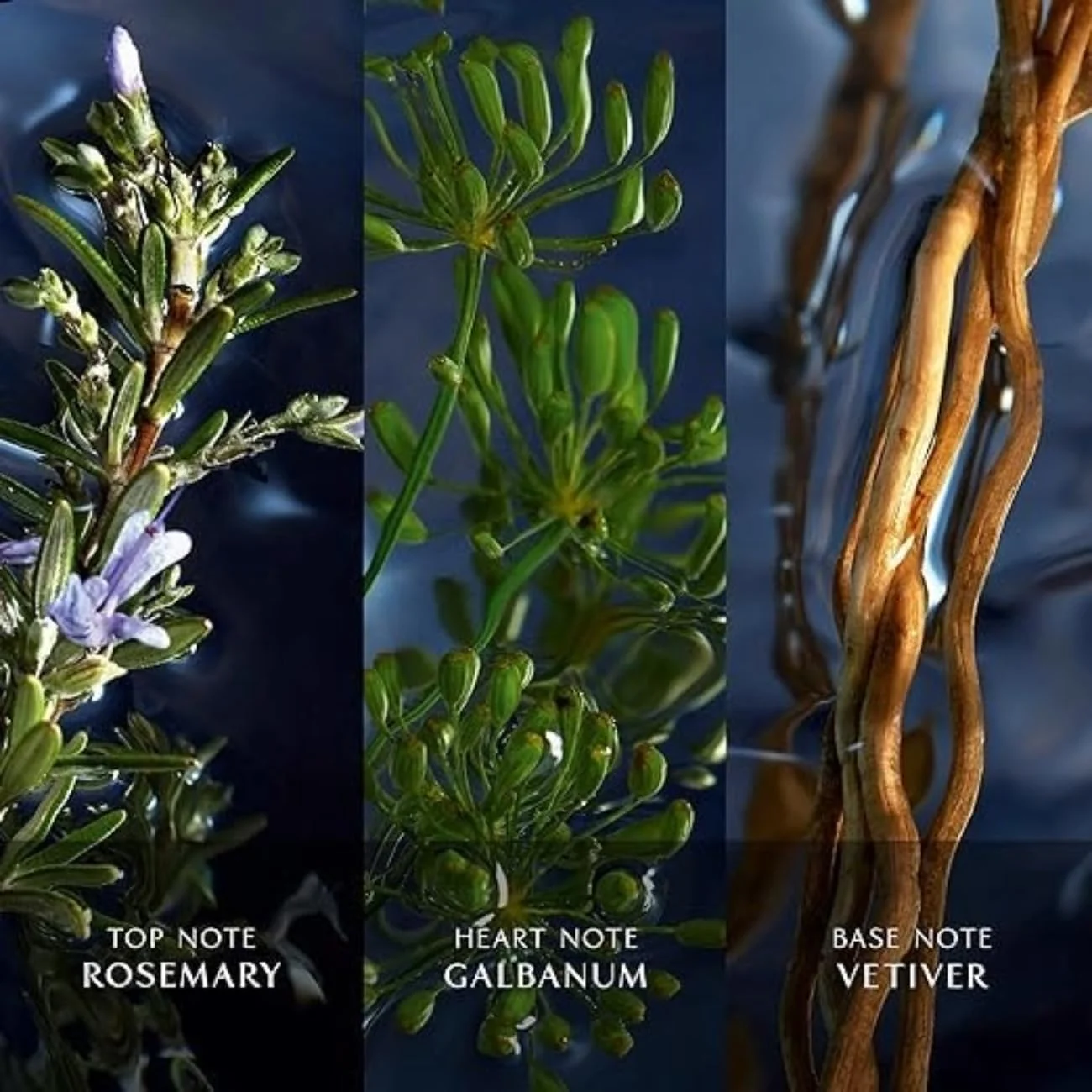 ادکلن مردانه Davidoff Cool Water Reborn Eau De Toilette 125ML