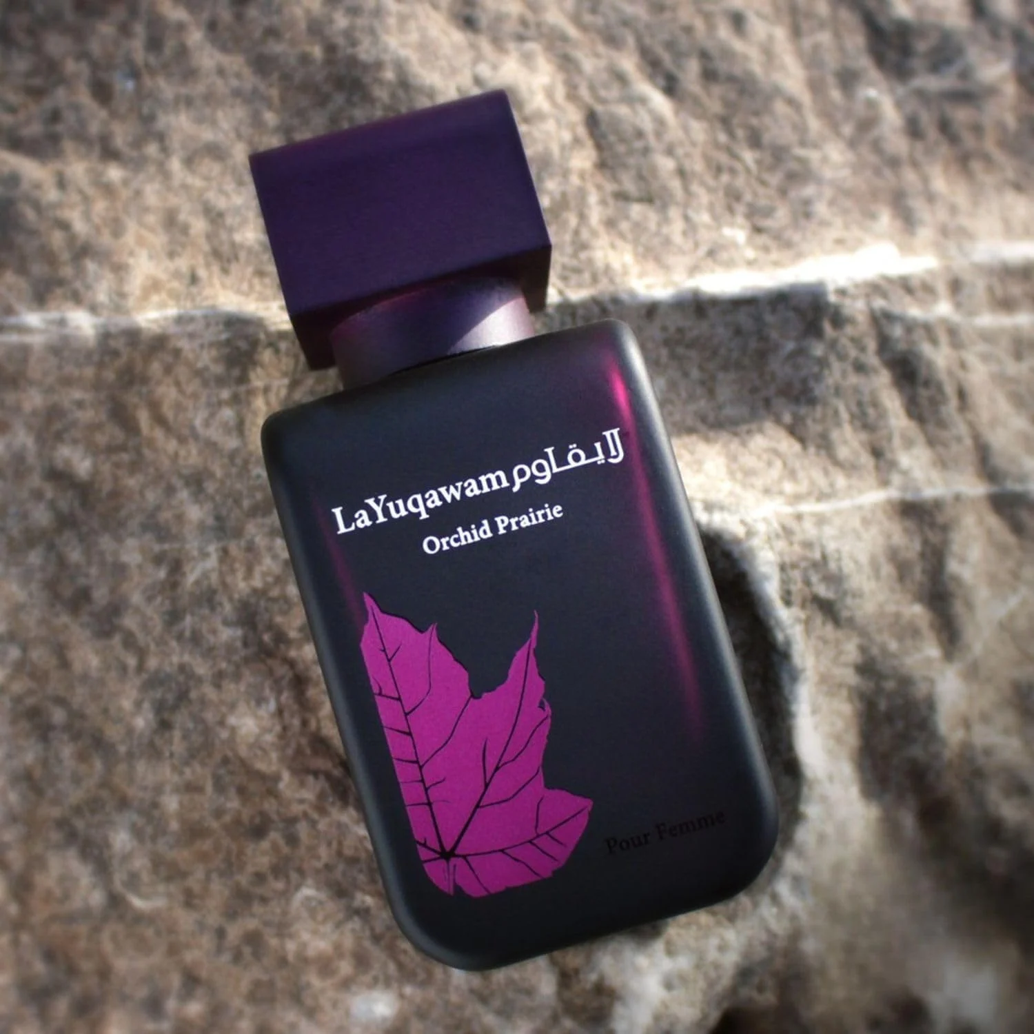 رصاصی - لایقوام ارکیده پرایری 75 میلی لیتر رصاصی - لایقوام ارکیده پرایری 75 میلی لیتر