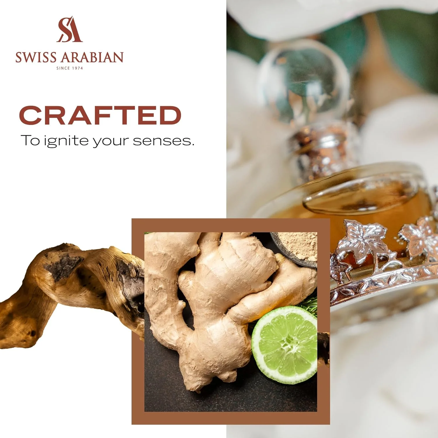 روغن عطر رز مالاکی Swiss Arabian، مناسب برای آقایان و بانوان، 25 میلی لیتر