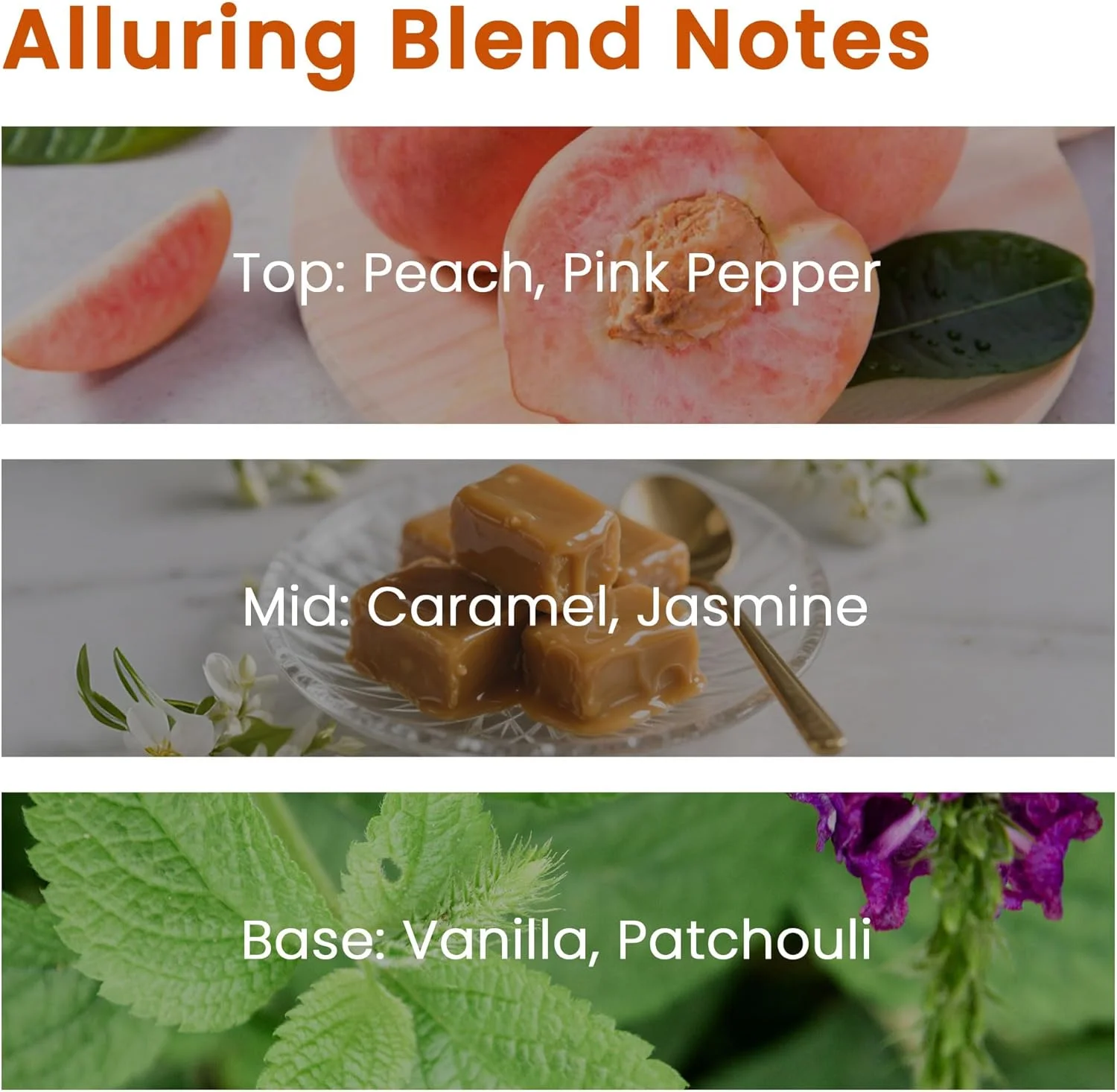 روغن معطر وانیل استوایی، روغن اسانس تکی بزرگ ESSLUX 30 میلی لیتر، رایحه های شمع سازی، روغن های معطر برای خانه برای دیفیوزر، صابون، عطر، مرطوب کننده