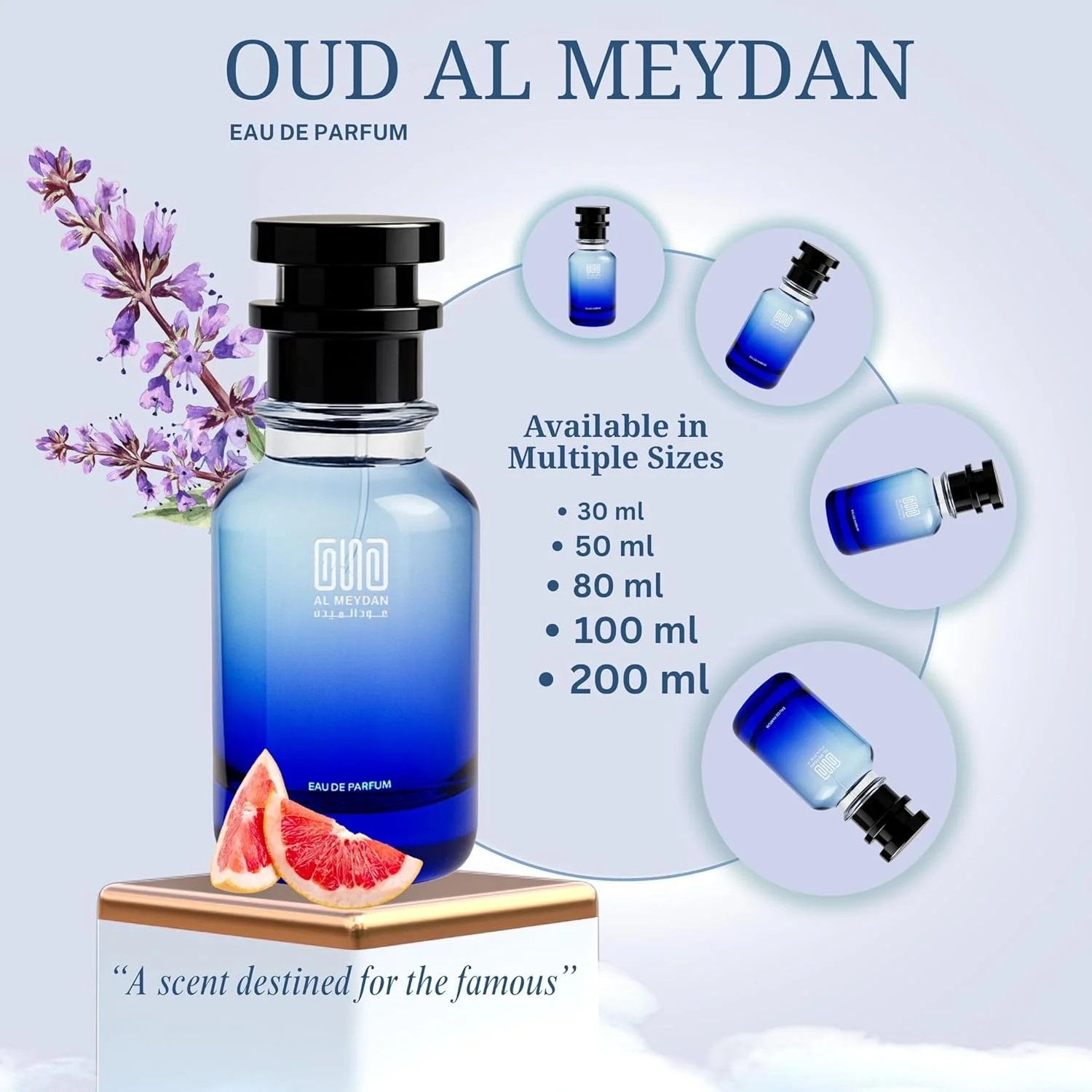 عطر روغنی عود المیدان مردانه – الهام گرفته از اینویکتوس – رایحه چوبی دریایی با گریپ فروت، آکورد دریایی و عنبر – ماندگاری 7-8 ساعته – رایحه مردانه اسپرت و تازه (30 میلی لیتر)