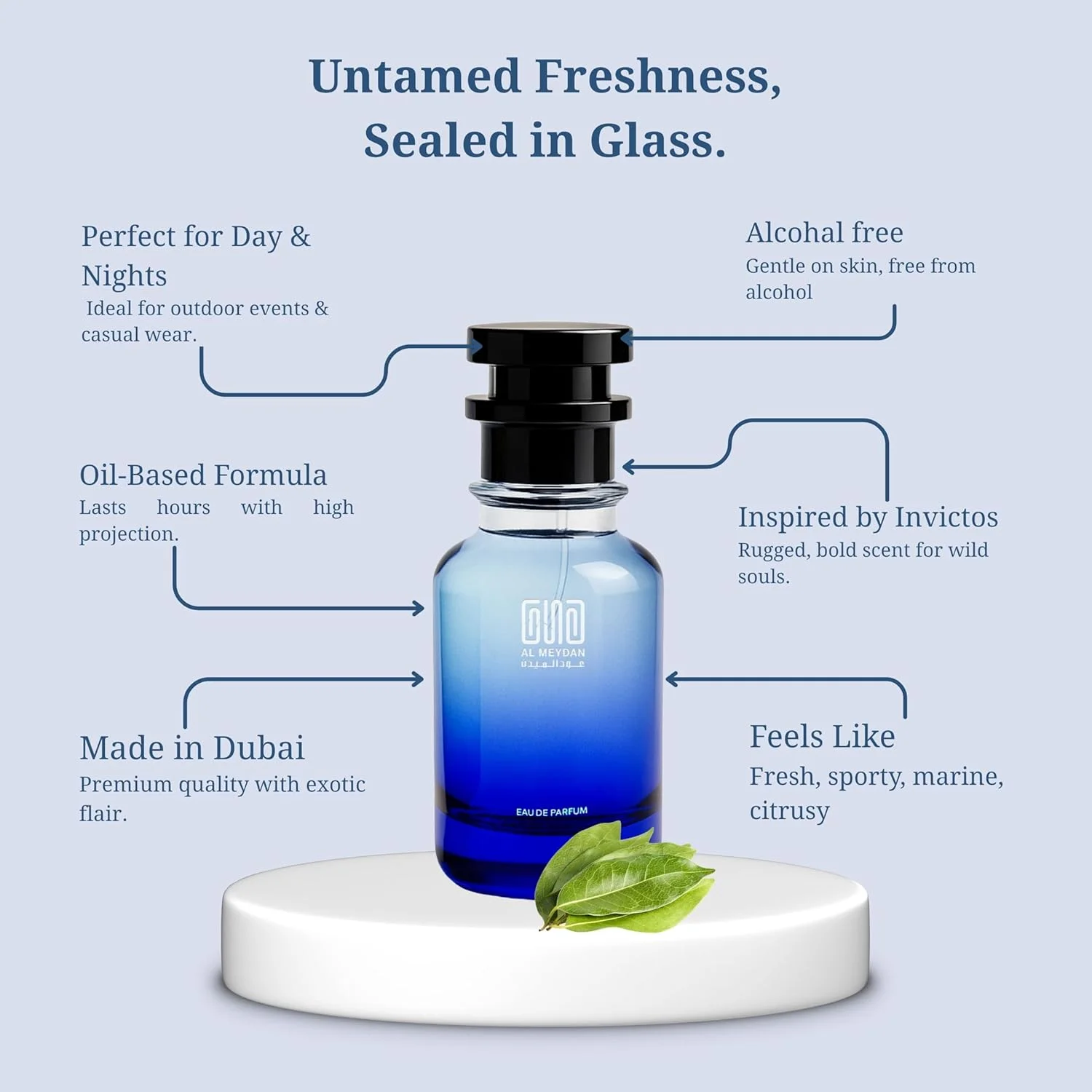 عطر روغنی عود المیدان مردانه – الهام گرفته از اینویکتوس – رایحه چوبی دریایی با گریپ فروت، آکورد دریایی و عنبر – ماندگاری 7-8 ساعته – رایحه مردانه اسپرت و تازه (30 میلی لیتر)