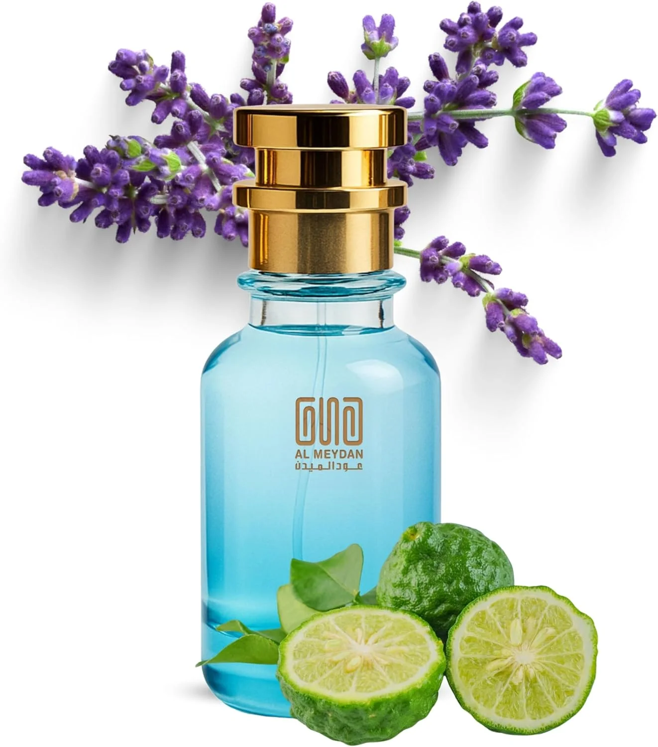 آفرینش عود المیدان – الهام گرفته از لا نویت د لوم – عطر روغنی مردانه – هل و اسطوخودوس گرم و تند – ایده آل برای شبگردی و مناسبت های عاشقانه – ماندگاری طولانی 6-8 ساعت (100 میلی لیتر)