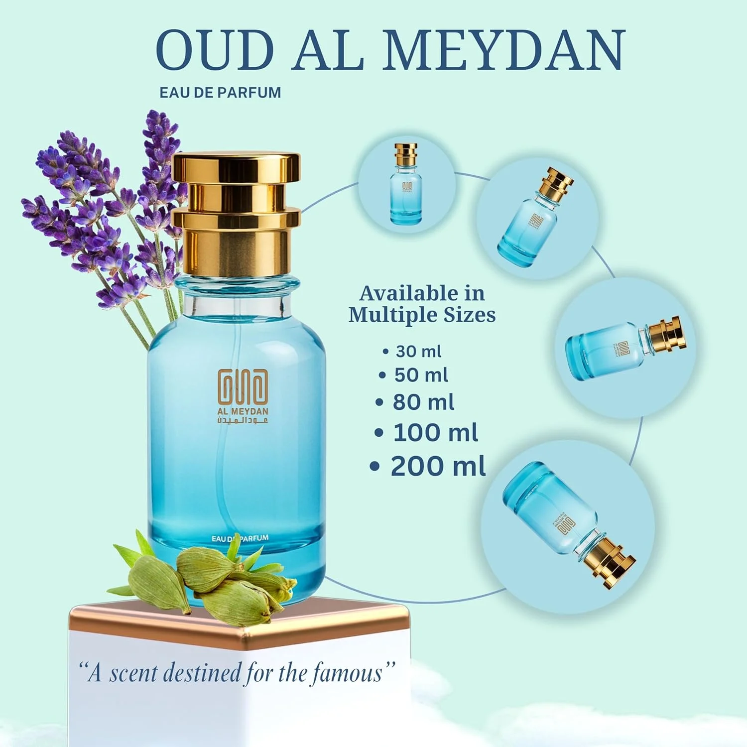 آفرینش عود المیدان – الهام گرفته از لا نویت د لوم – عطر روغنی مردانه – هل و اسطوخودوس گرم و تند – ایده آل برای شبگردی و مناسبت های عاشقانه – ماندگاری طولانی 6-8 ساعت (100 میلی لیتر)