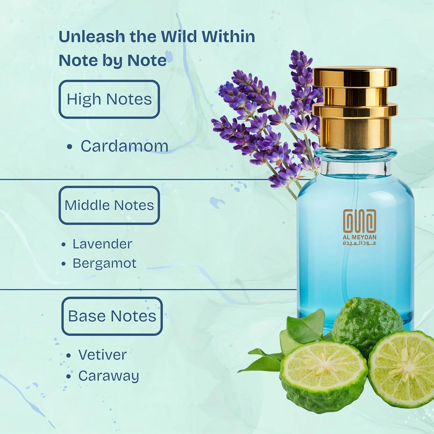 آفرینش عود المیدان – الهام گرفته از لا نویت د لوم – عطر روغنی مردانه – هل و اسطوخودوس گرم و تند – ایده آل برای شبگردی و مناسبت های عاشقانه – ماندگاری طولانی 6-8 ساعت (100 میلی لیتر)