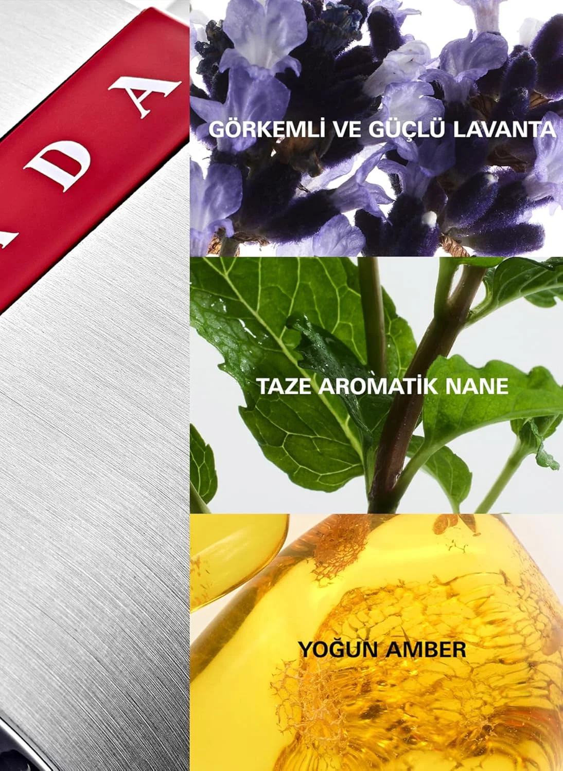 ادکلن مردانه پرادا لونا روسا، 50 میلی لیتر - ادو تویلت اسپری