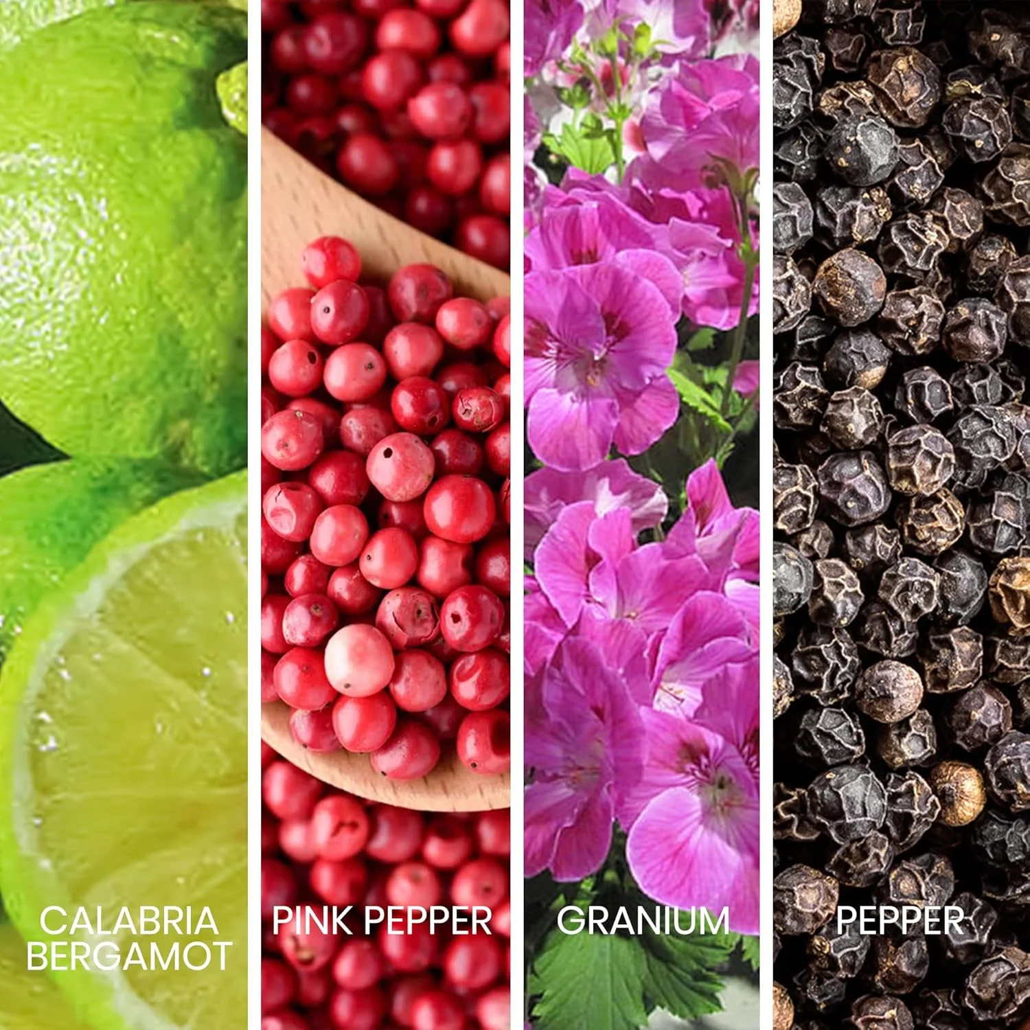 ادکلن مردانه ساپیل ریو، ۱۰۰ میلی لیتر ادکلن مردانه ساپیل ریو، ۱۰۰ میلی لیتر