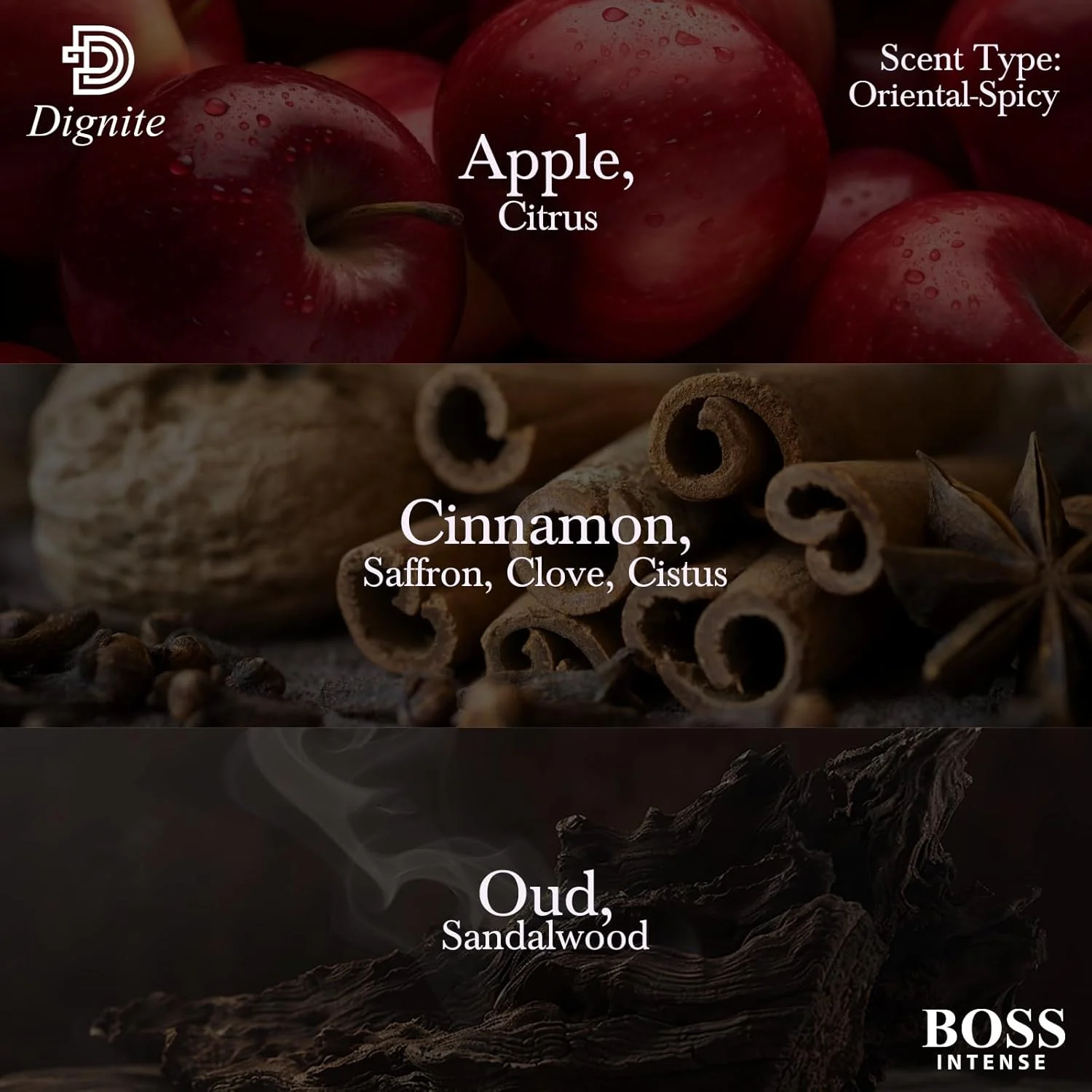 ادکلن مردانه باس اینتنس 60 میل - ادو پرفیوم ادکلن مردانه باس اینتنس 60 میل - ادو پرفیوم