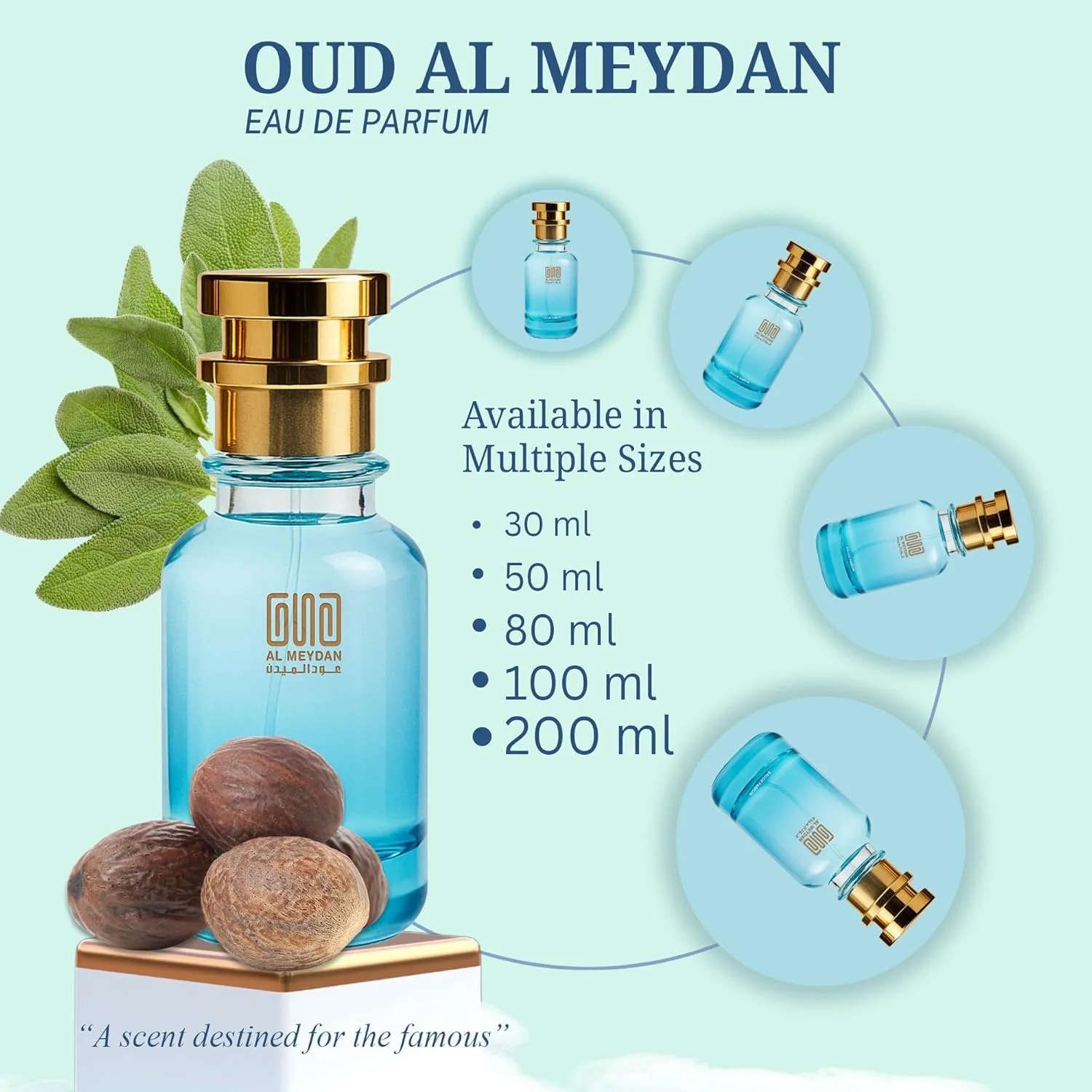 عطر روغنی مردانه - رایحه ای از کواتر ابسولوت دی نیوت - روغن عطر چوبی و تند بدون الکل با رایحه اسطوخودوس، نعناع هندی و وانیل - ماندگاری طولانی (30 میلی لیتر)