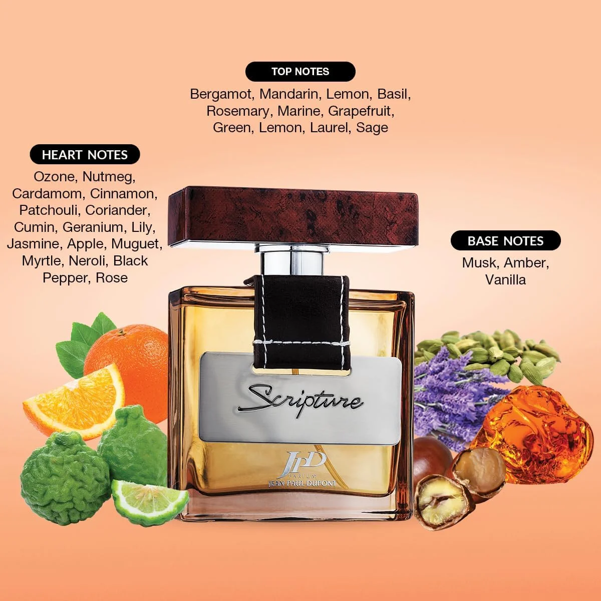 ادکلن مردانه جان پل دوپونت (JPD) اسکریپچر - با رایحه های تازه و تند - ادو تویلت 100 میلی لیتر ادکلن مردانه جان پل دوپونت (JPD) اسکریپچر - با رایحه های تازه و تند - ادو تویلت 100 میلی لیتر