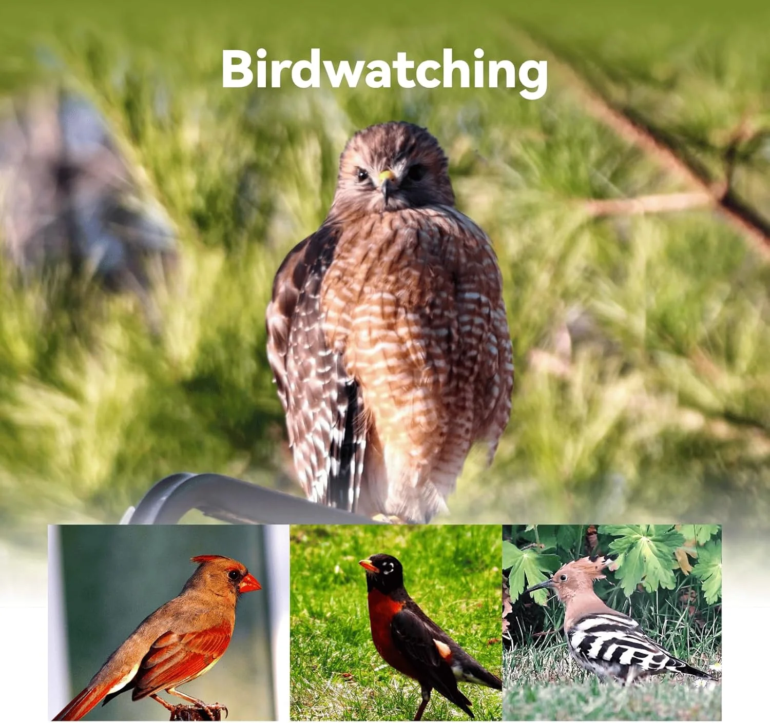 تلسکوپ هوشمند DWARF 3 از DWARFLAB - قابل حمل، ثبت تصاویر نجومی/حیات وحش/پانوراما، حالت EQ، پردازش ابری، ردیابی خودکار 4K، فوق سبک 3 پوندی، مناسب برای همه سنین