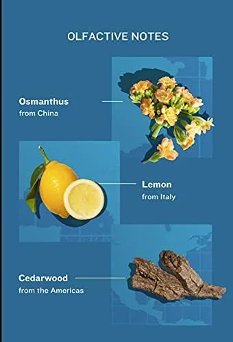 ادکلن خالص آتلیه کلن Love Osmanthus، اسپری عطر 100 میل