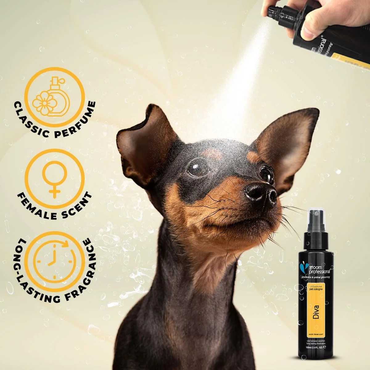 ادکلن زنانه گروم پروفشنال دیوا - عطر 100 میلی لیتر ادکلن زنانه گروم پروفشنال دیوا - عطر 100 میلی لیتر