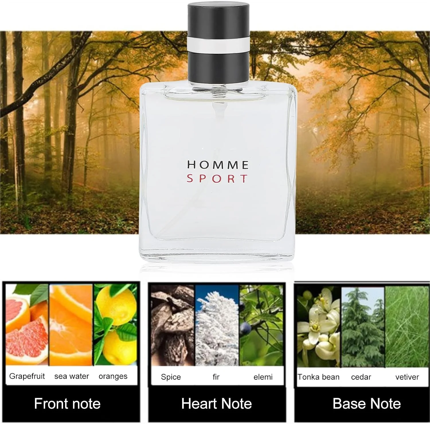 مجموعه چهارتایی عطر مردانه 25 میلی لیتری، ادکلن با رایحه چوبی مردانه، عطر اسپرت دریایی گلی مردانه، ادو تویلت کلاسیک ماندگار مردانه، ادکلن با رایحه اسطوخودوس و قلب گلی