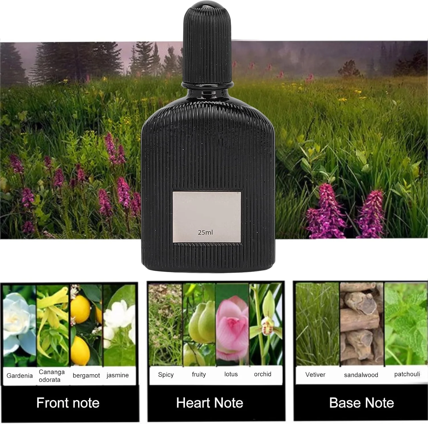 مجموعه چهارتایی عطر مردانه 25 میلی لیتری، ادکلن با رایحه چوبی مردانه، عطر اسپرت دریایی گلی مردانه، ادو تویلت کلاسیک ماندگار مردانه، ادکلن با رایحه اسطوخودوس و قلب گلی