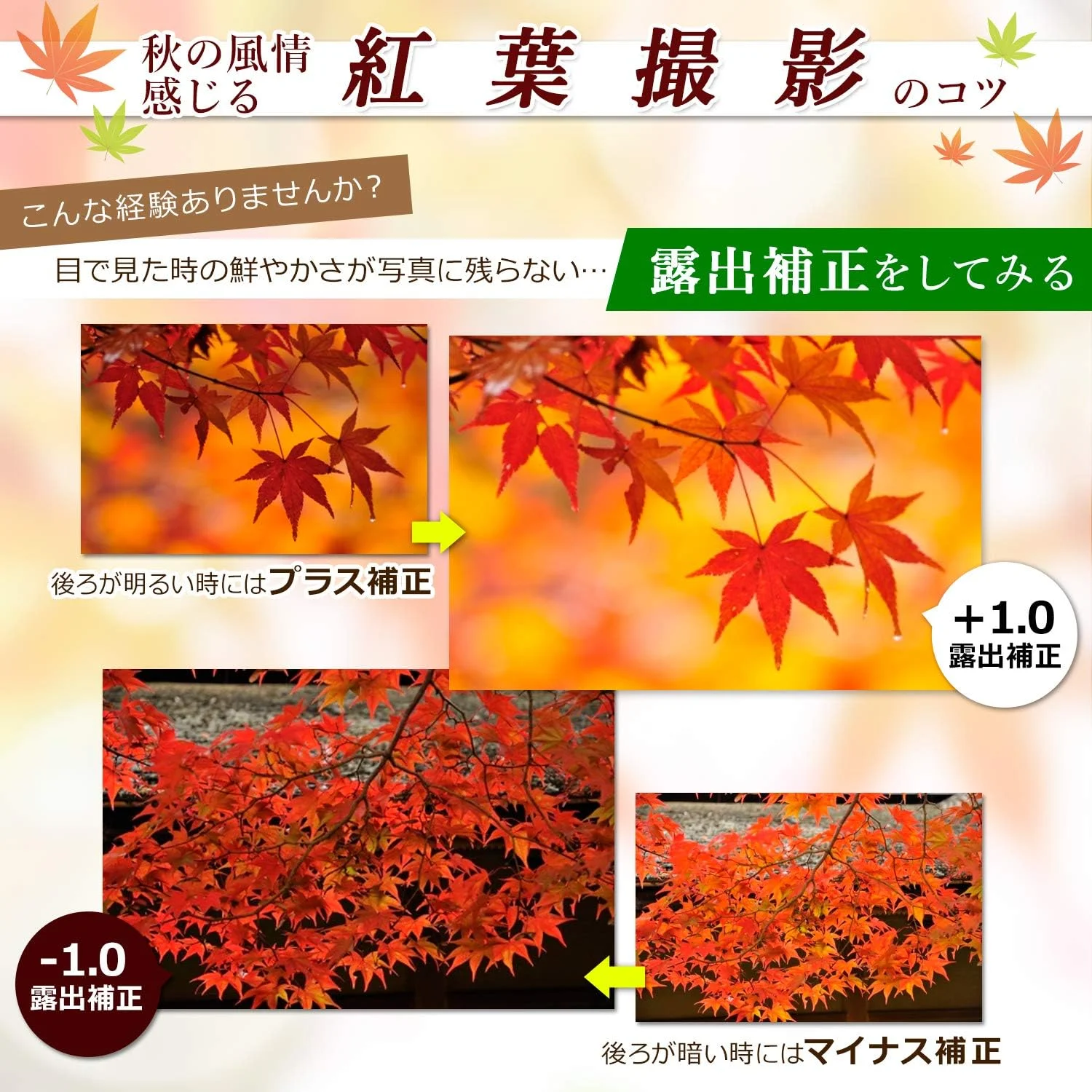 NIKON D5300 AF-P WZKIT (وارداتی از ژاپن)