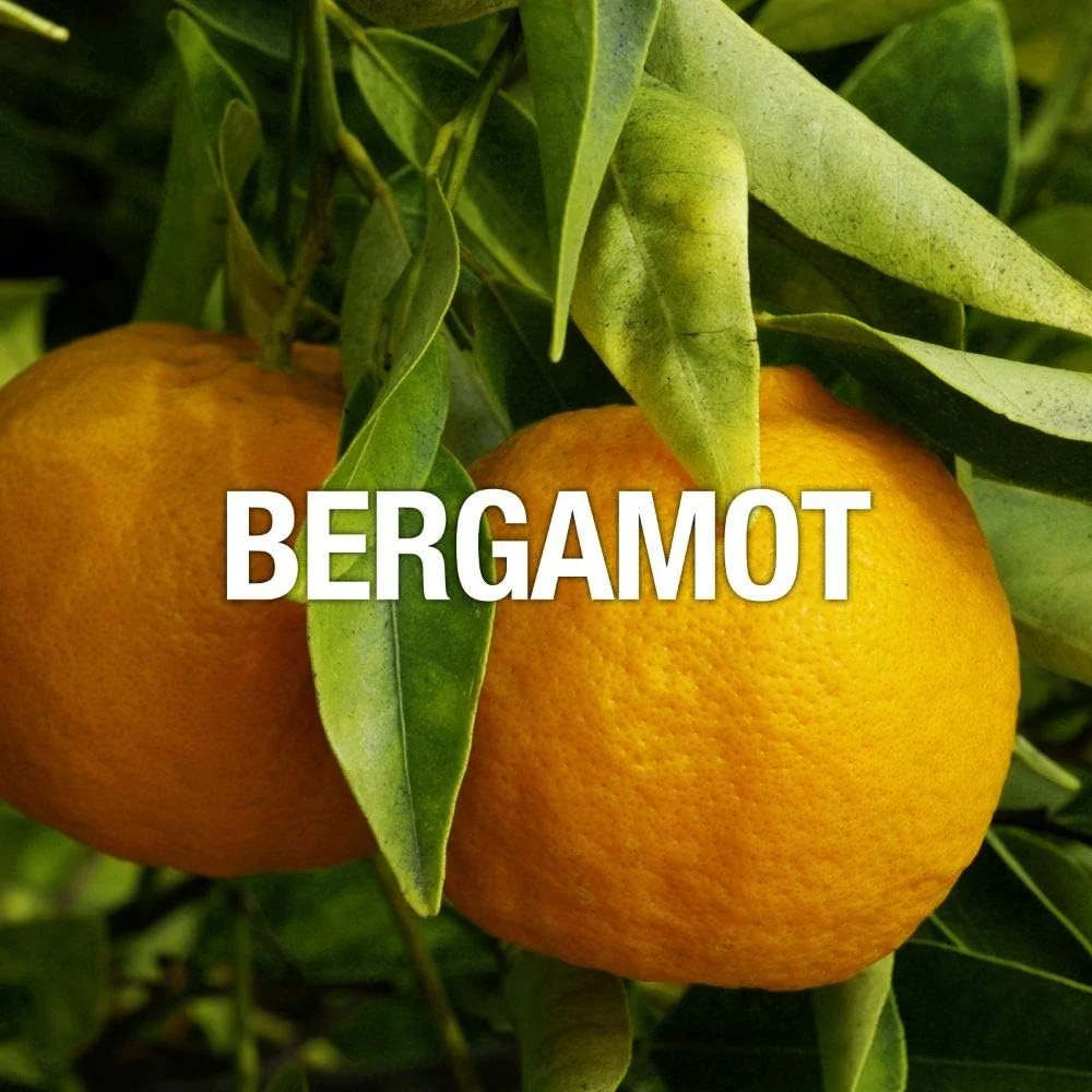 اسپری ادکلن مردانه کرو، رایحه خنک و غیررسمی برای روز یا شب، جرقه، 124 میلی لیتر