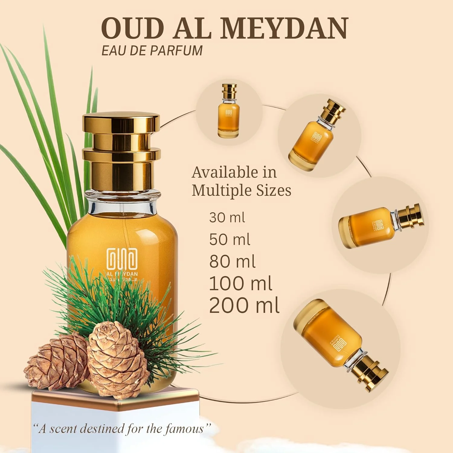 عطر روغنی زنانه و مردانه – الهام گرفته از تروانی – روغن عطر چوبی کهربایی بدون الکل – رایحه یونیسکس ماندگار با الهام از عطر های خاص (100 میلی لیتر)