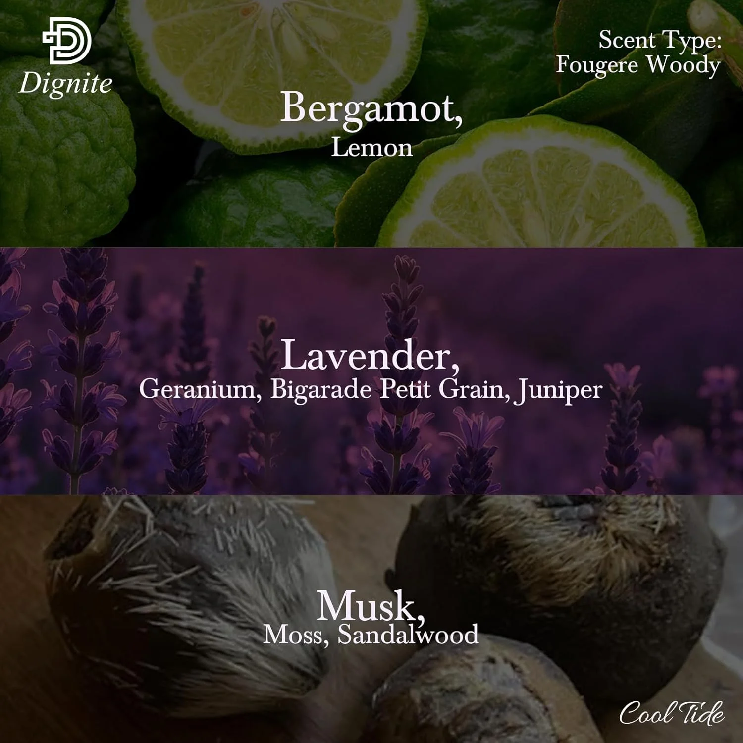 کول تاید 60 میل - ادو پرفیوم - مخصوص آقایان کول تاید 60 میل - ادو پرفیوم - مخصوص آقایان