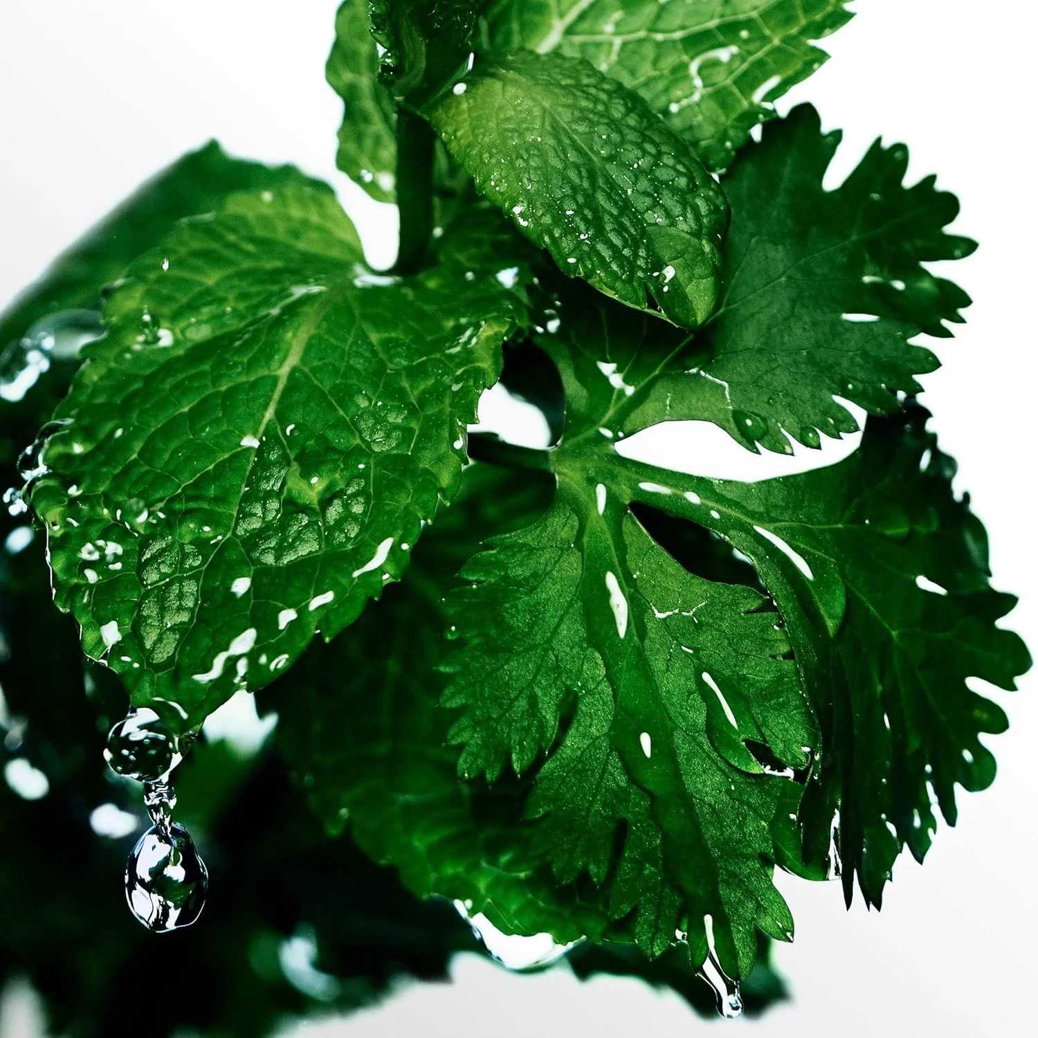 لوسیون پس از اصلاح مردانه دیویدوف کول واتر 75 میلی لیتر لوسیون پس از اصلاح مردانه دیویدوف کول واتر 75 میلی لیتر