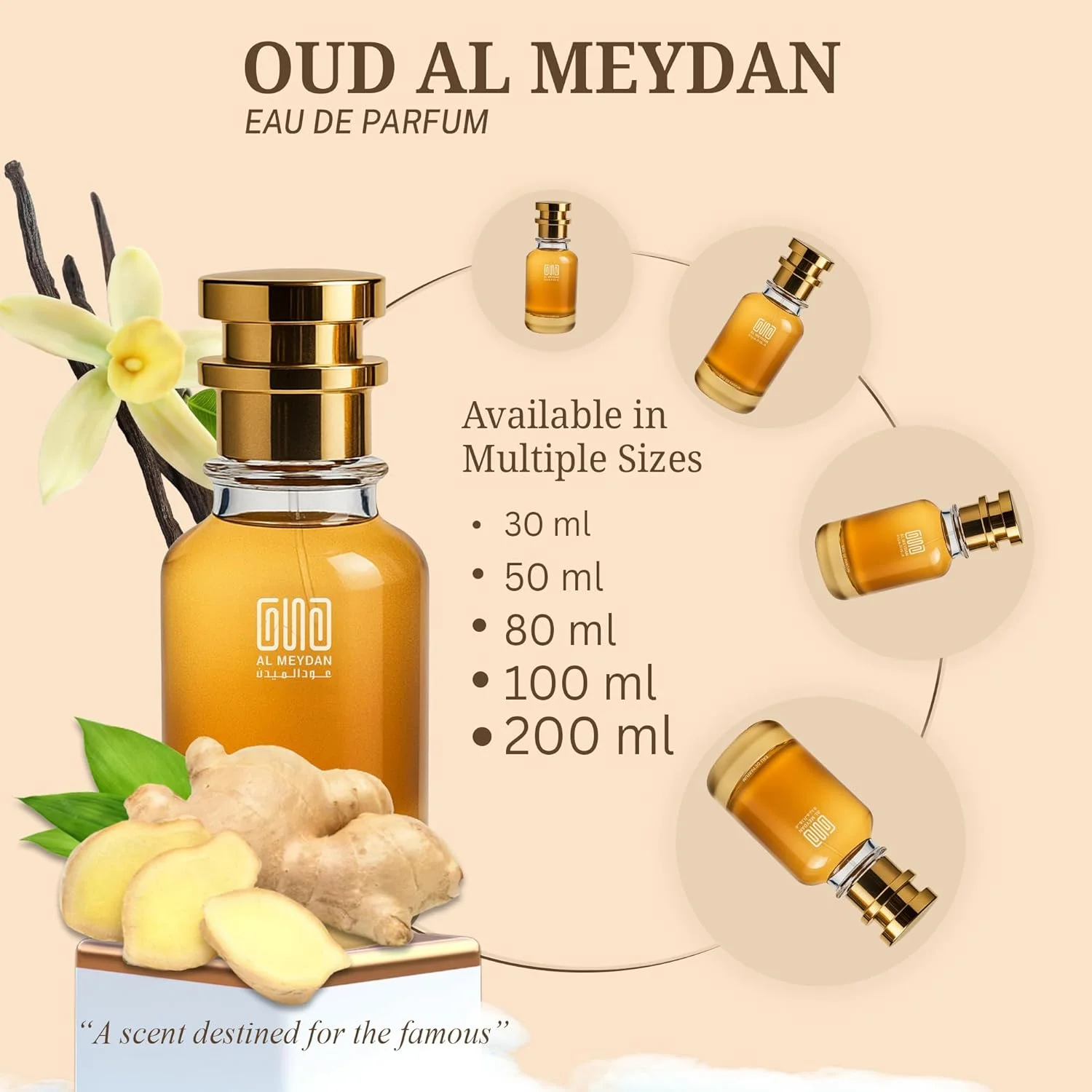 عطر روغنی زنانه و مردانه – رایحه ای از Maginnta Tenzenyt – عطر روغنی گرم، ادویه ای و کهربایی با رایحه قهوه، وانیل و تنباکو – رایحه ماندگار بدون الکل و مناسب برای هر دو جنس (30 میلی لیتر) عطر روغنی زنانه و مردانه – رایحه ای از Maginnta Tenzenyt – عطر روغنی گرم، ادویه ای و کهربایی با رایحه قهوه، وانیل و تنباکو – رایحه ماندگار بدون الکل و مناسب برای هر دو جنس (30 میلی لیتر)