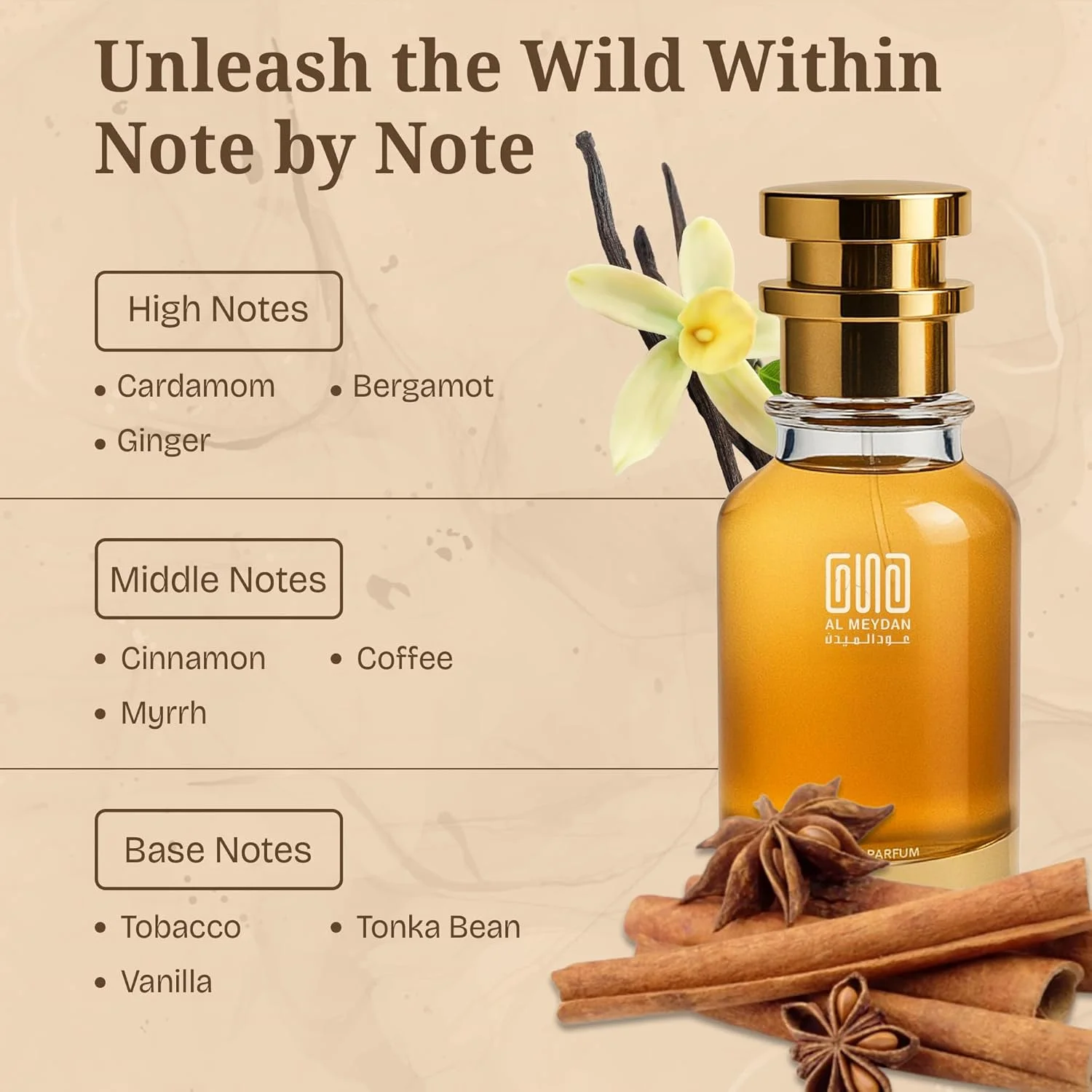 عطر روغنی زنانه و مردانه – رایحه ای از Maginnta Tenzenyt – عطر روغنی گرم، ادویه ای و کهربایی با رایحه قهوه، وانیل و تنباکو – رایحه ماندگار بدون الکل و مناسب برای هر دو جنس (30 میلی لیتر) عطر روغنی زنانه و مردانه – رایحه ای از Maginnta Tenzenyt – عطر روغنی گرم، ادویه ای و کهربایی با رایحه قهوه، وانیل و تنباکو – رایحه ماندگار بدون الکل و مناسب برای هر دو جنس (30 میلی لیتر)