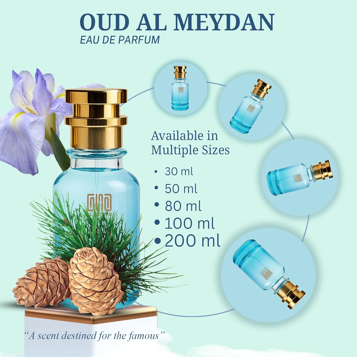 عطر روغنی برای زنان و مردان – رایحه ای از آمبر وود – عطر روغنی گرم کهربایی چوبی با هل، سدر و نعناع هندی – رایحه بدون الکل ماندگار و مناسب برای هر دو جنس (100 میلی لیتر) عطر روغنی برای زنان و مردان – رایحه ای از آمبر وود – عطر روغنی گرم کهربایی چوبی با هل، سدر و نعناع هندی – رایحه بدون الکل ماندگار و مناسب برای هر دو جنس (100 میلی لیتر)