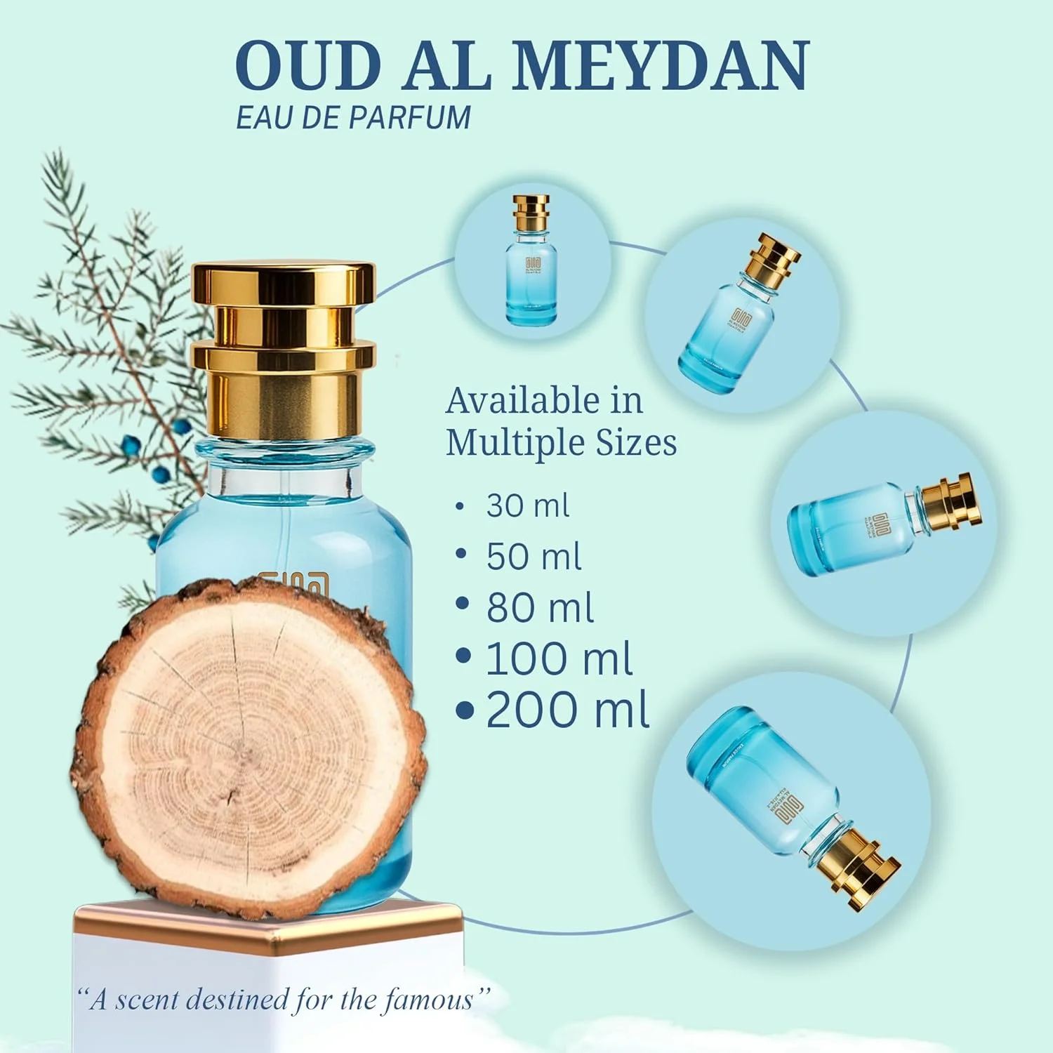 عطر روغنی زنانه – رایحه ای از Zafronn – عطر روغنی بدون الکل با زعفران، بنفشه، چرم و تمشک – رایحه گرم، گلی و چوبی ماندگار (100 میلی لیتر) عطر روغنی زنانه – رایحه ای از Zafronn – عطر روغنی بدون الکل با زعفران، بنفشه، چرم و تمشک – رایحه گرم، گلی و چوبی ماندگار (100 میلی لیتر)