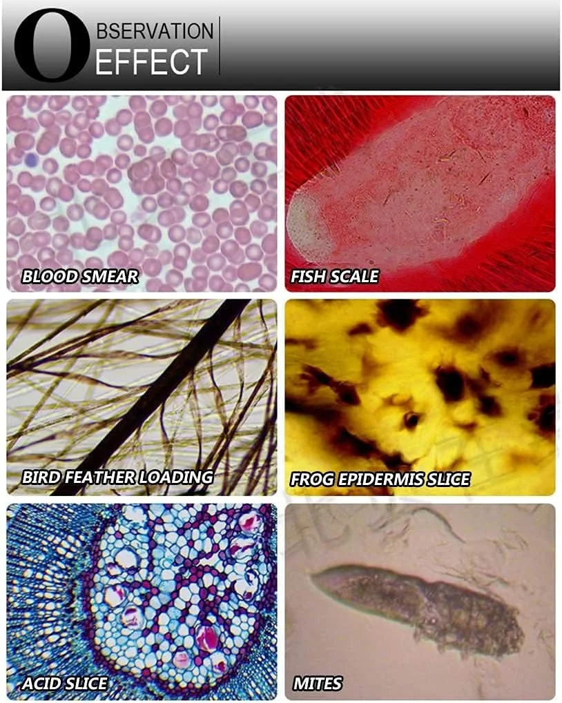 میکروسکوپ تک چشمی تخصصی با ال سی دی، میکروسکوپ های USB با کیفیت HD 5000X، مناسب برای مشاهده نمونه های آزمایشگاهی، پرورش آبزیان و بررسی قطره خون.