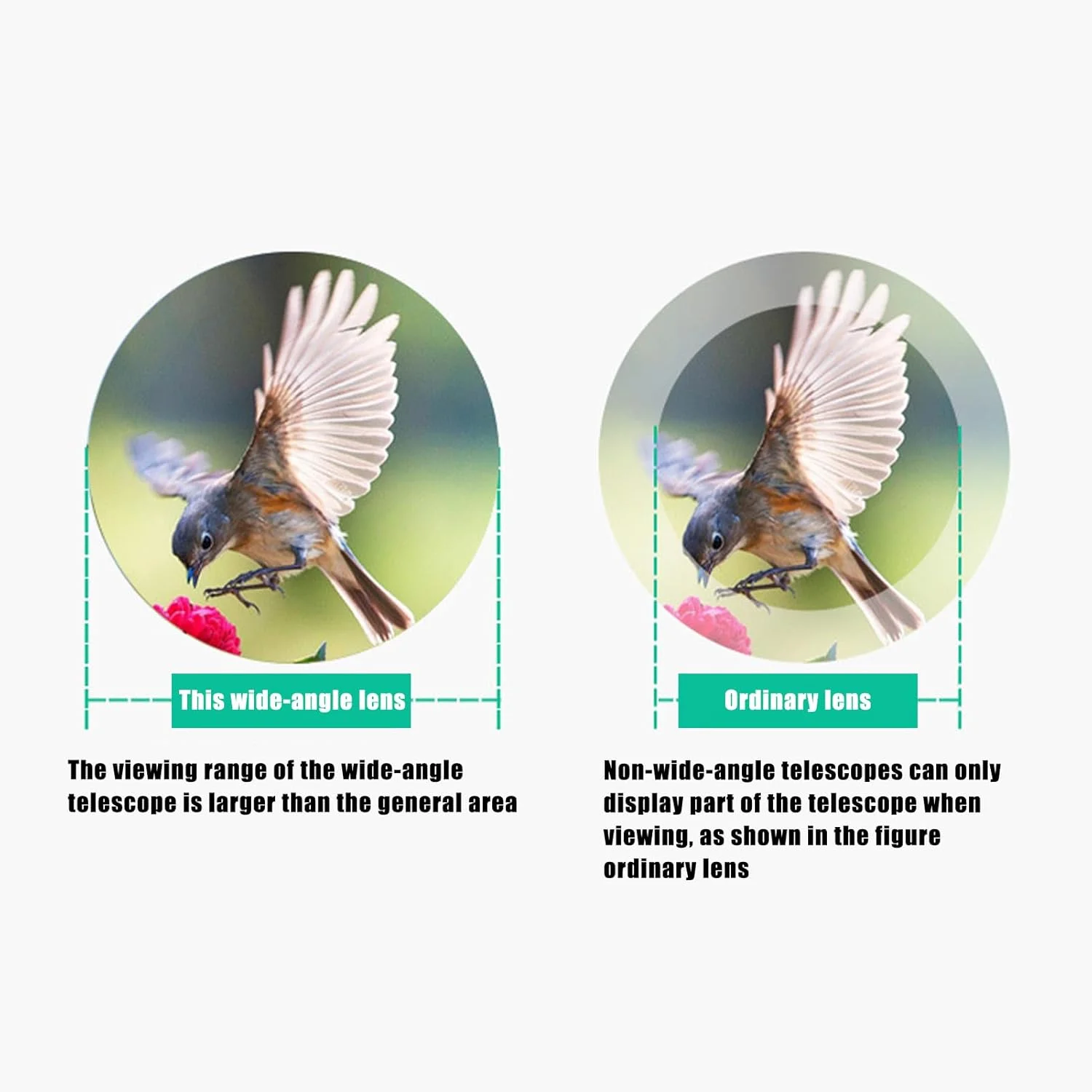 تلسکوپ تک چشمی - تلسکوپ تک چشمی فشرده و قدرتمند | ضدآب، سبک وزن، ابزار آموزشی برای کودکان، بزرگسالان، تماشای پرندگان، پیاده روی، کمپینگ و فضای باز