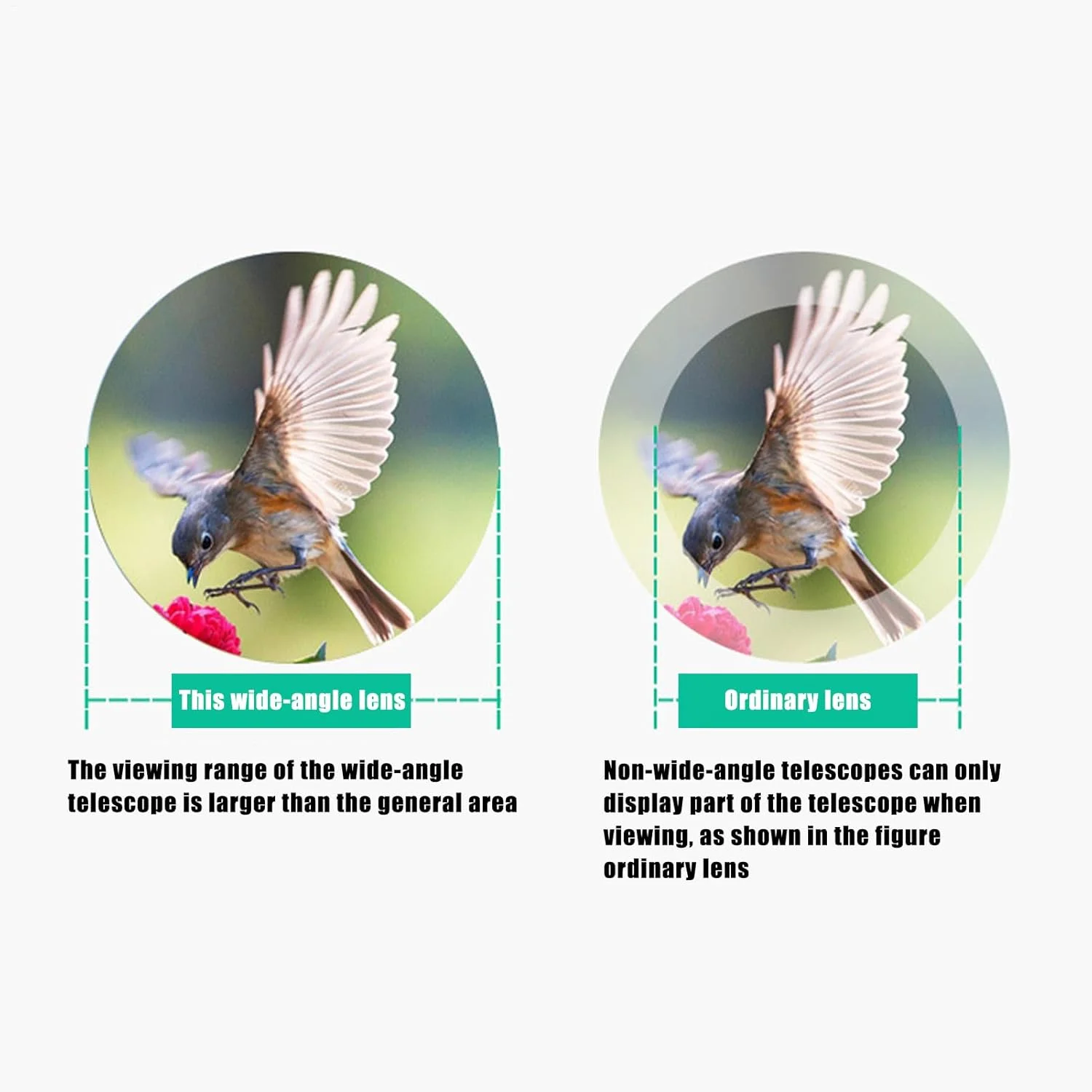 تلسکوپ تک چشمی برای تلفن هوشمند، تلسکوپ تک چشمی قابل حمل 16x52، ابزار آموزشی سبک وزن قابل حمل برای کمپینگ، پیاده روی، تماشای پرندگان و یادگیری