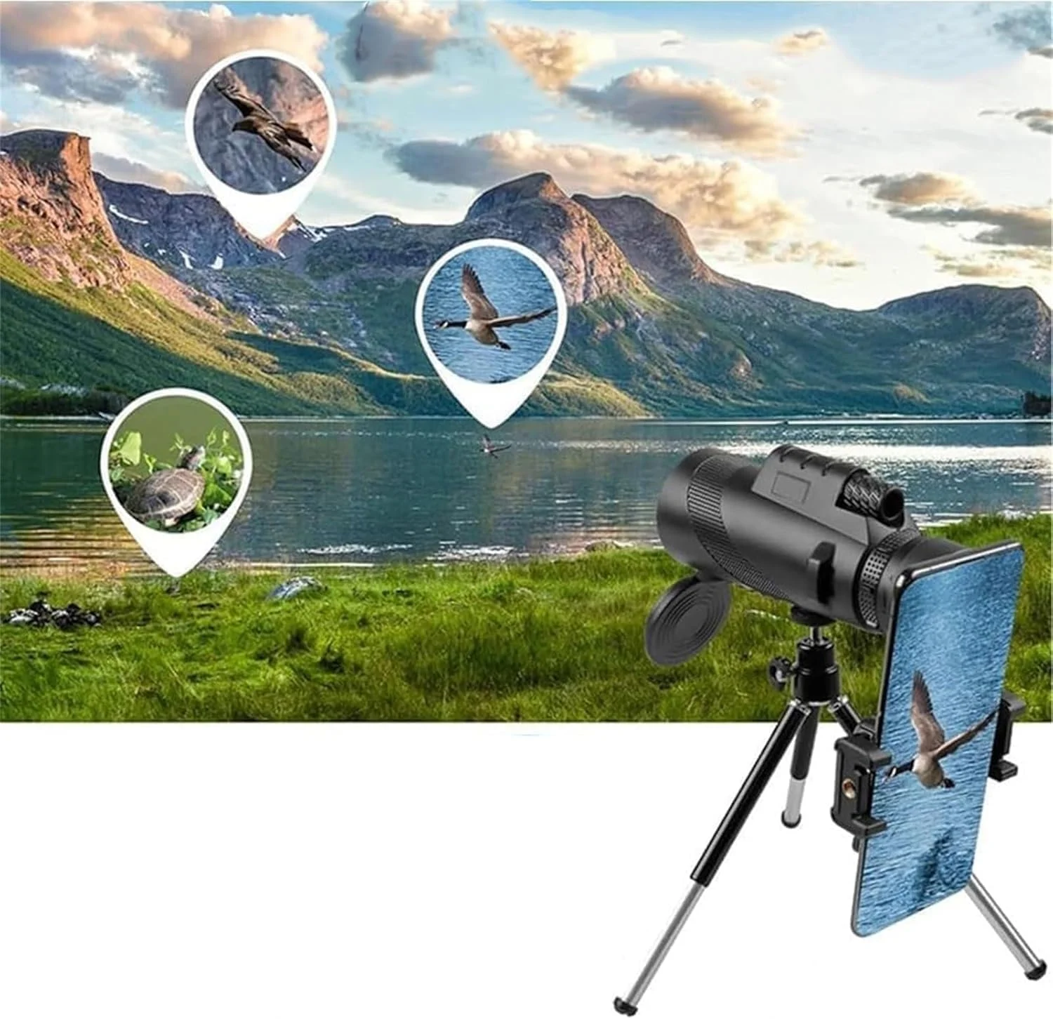 تلسکوپ تک چشمی Stscope 360، تلسکوپ تک چشمی 80x100 با قدرت بالا برای بزرگسالان، تلسکوپ تک چشمی با کیفیت بالا برای تماشای ستارگان، حیات وحش، تماشای پرندگان، مسافرت، کمپینگ و پیاده روی (سبز) تلسکوپ تک چشمی Stscope 360، تلسکوپ تک چشمی 80x100 با قدرت بالا برای بزرگسالان، تلسکوپ تک چشمی با کیفیت بالا برای تماشای ستارگان، حیات وحش، تماشای پرندگان، مسافرت، کمپینگ و پیاده روی (سبز)