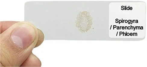 میکروسکوپ آماده به کار با 1 اسلاید آماده، کیت فولداسکوپ از پیش مونتاژ شده میکروسکوپ آماده به کار با 1 اسلاید آماده، کیت فولداسکوپ از پیش مونتاژ شده