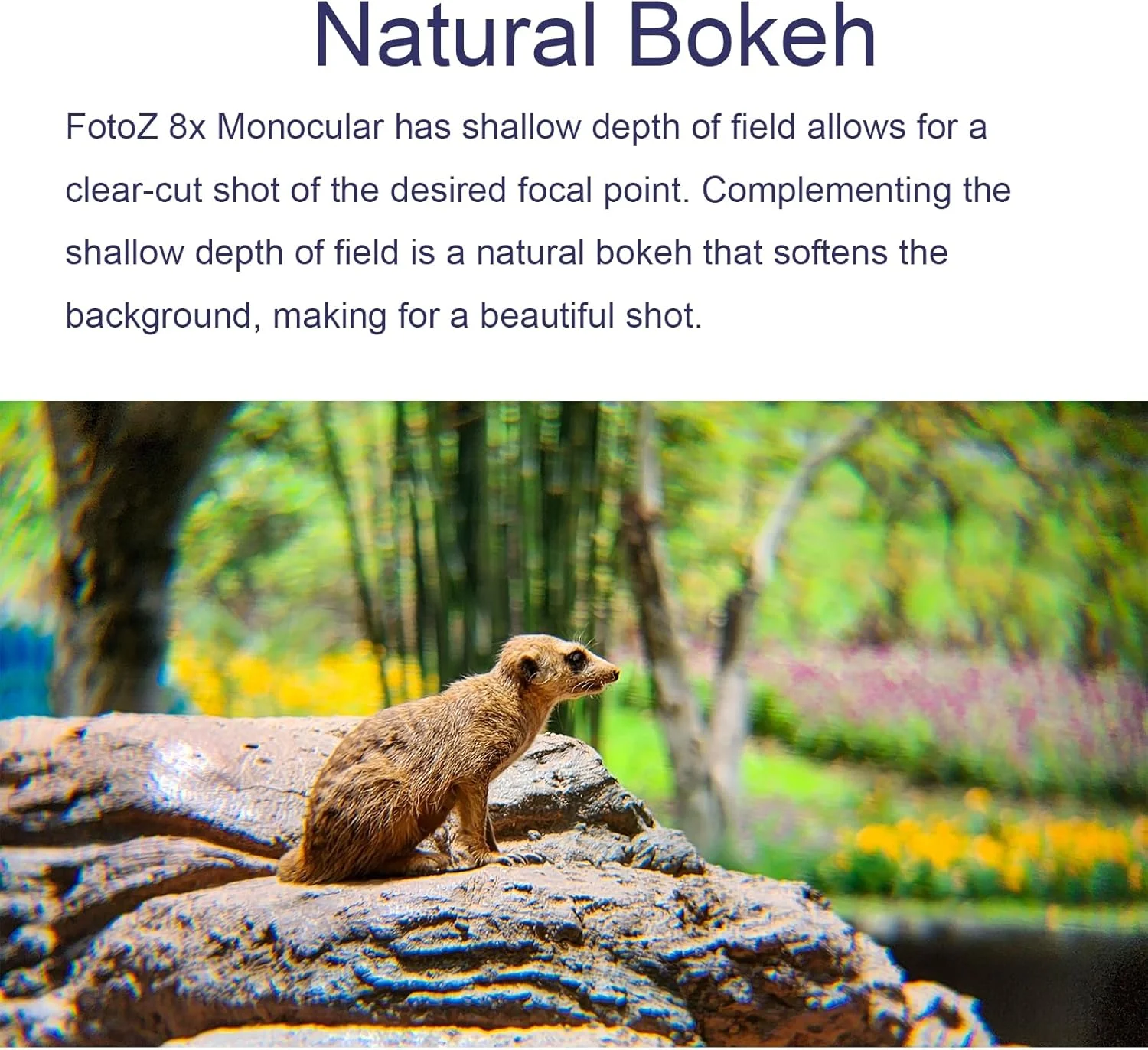 تلسکوپ تک چشمی 8X FotoZ برای آیفون، اندروید و اکثر تلفن های هوشمند، با لنز تله فوتو زوم اپتیکال 8X، گیره تلفن جهانی 17 میلی متری و کیف نگهداری تلسکوپ تک چشمی 8X FotoZ برای آیفون، اندروید و اکثر تلفن های هوشمند، با لنز تله فوتو زوم اپتیکال 8X، گیره تلفن جهانی 17 میلی متری و کیف نگهداری