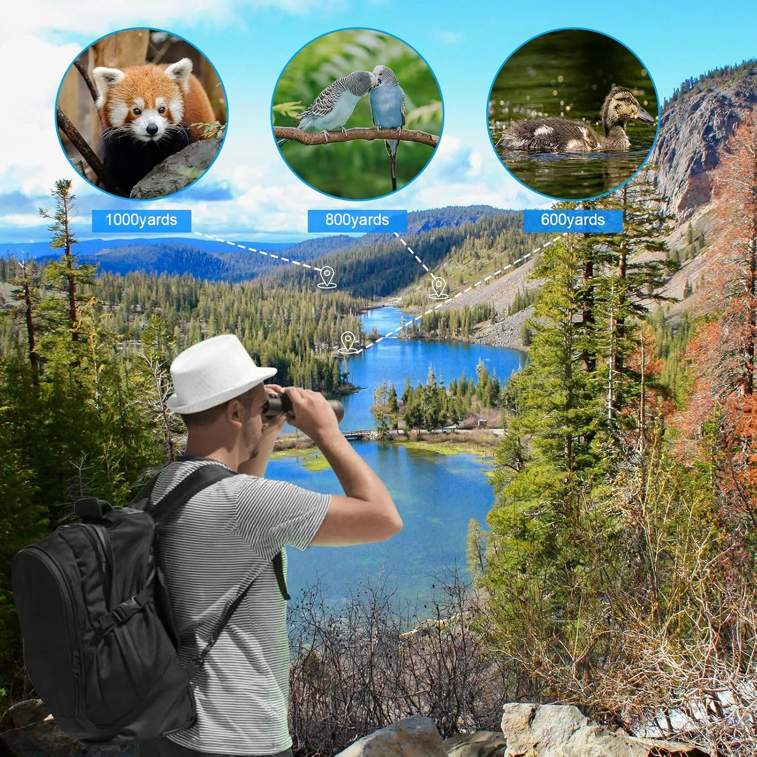 تلسکوپ تک چشمی 12x56 با قدرت بالا برای بزرگسالان به همراه آداپتور تلفن هوشمند، لنز FMC، منشور BAK4، مناسب برای تماشای پرندگان، رنگ خاکستری