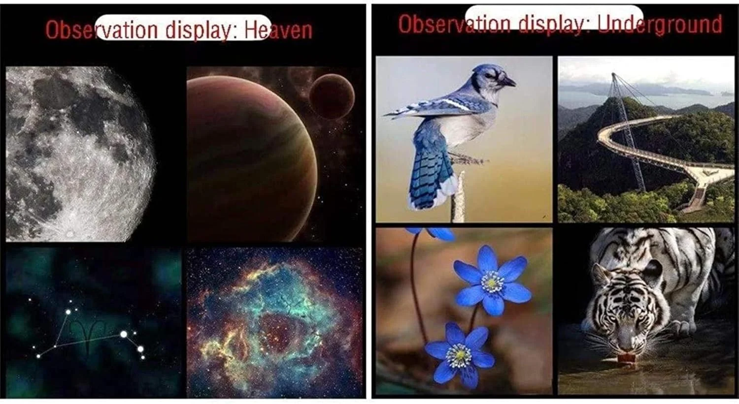 تلسکوپ برای کودکان مبتدی، دهانه 70 میلی‌متری، پایه AZ 400 میلی‌متری، اپتیک چند لایه، تلسکوپ برای بزرگسالان، تلسکوپ شکستنی نجومی با سه‌پایه، کوله‌پشتی، هدیه برای کودکان، برای داخل/خارج از منزل