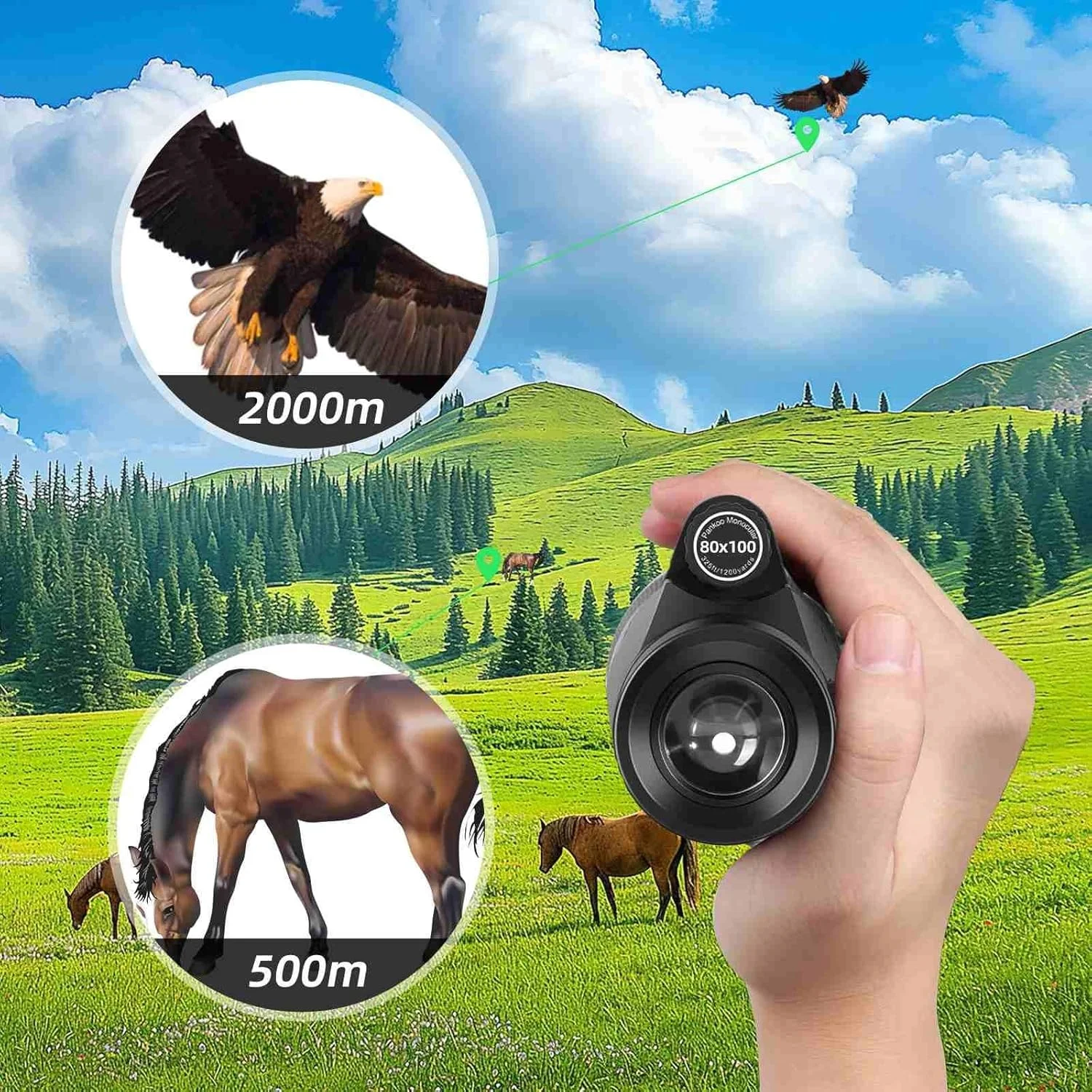 تک چشمی YLQ HD - تک چشمی برای بزرگسالان، قدرتمند، سبک و جمع و جور، میدان دید وسیع، با آداپتور تلفن هوشمند برای تماشای پرندگان، قایق سواری، تماشای ستارگان و مسافرت تک چشمی YLQ HD - تک چشمی برای بزرگسالان، قدرتمند، سبک و جمع و جور، میدان دید وسیع، با آداپتور تلفن هوشمند برای تماشای پرندگان، قایق سواری، تماشای ستارگان و مسافرت