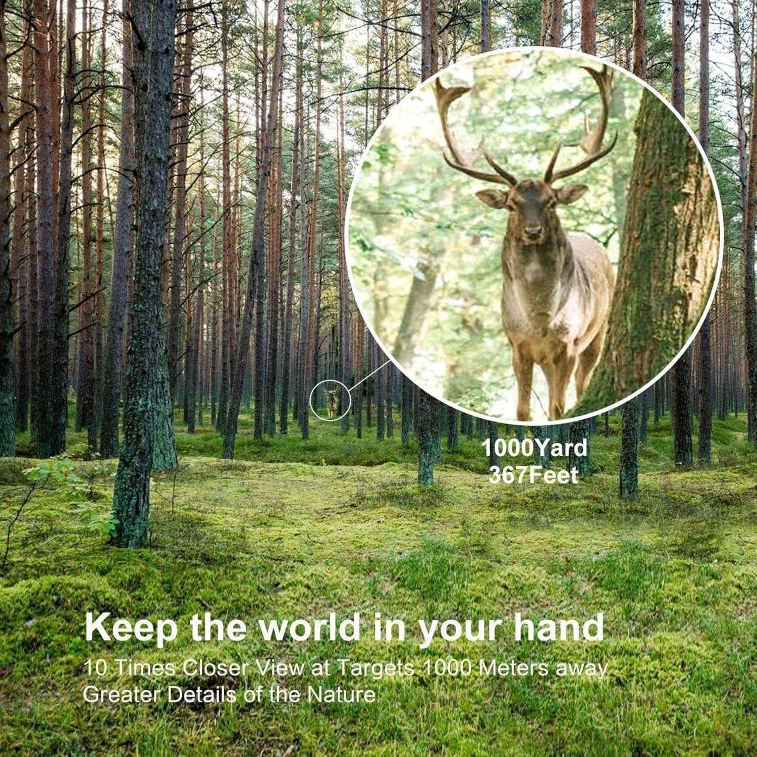تلسکوپ تک چشمی قدرتمند HD، زوم جیبی HD برای تماشای پرندگان، کمپینگ، حیات وحش و مسافرت